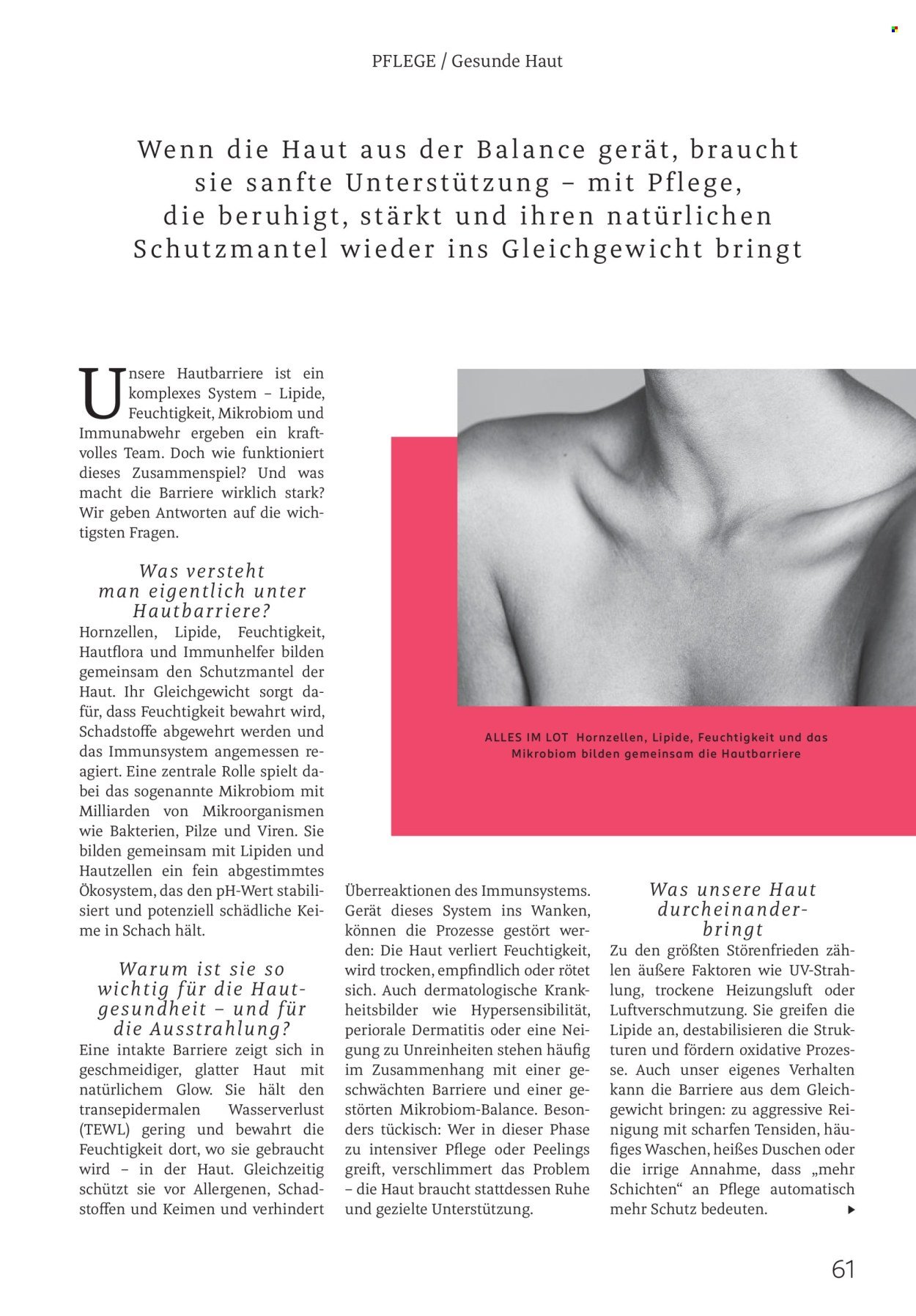 ROSSMANN Prospekt - Centaur