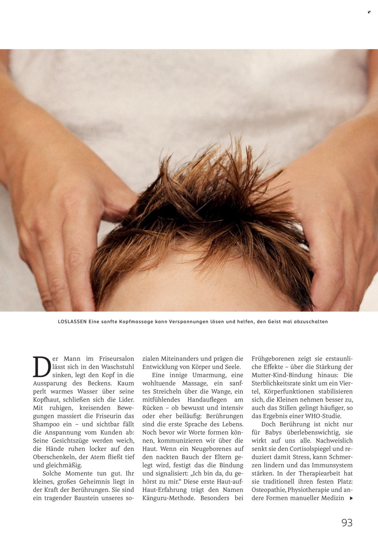 ROSSMANN Prospekt - Centaur