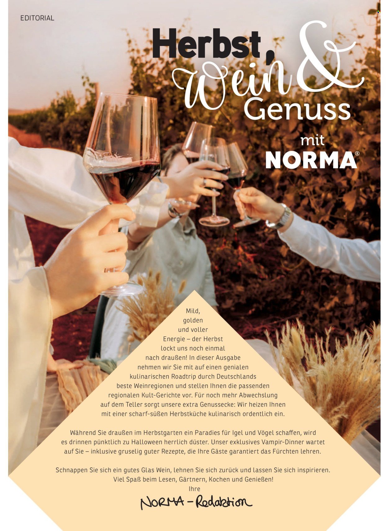 NORMA Prospekt - NORMAgazin