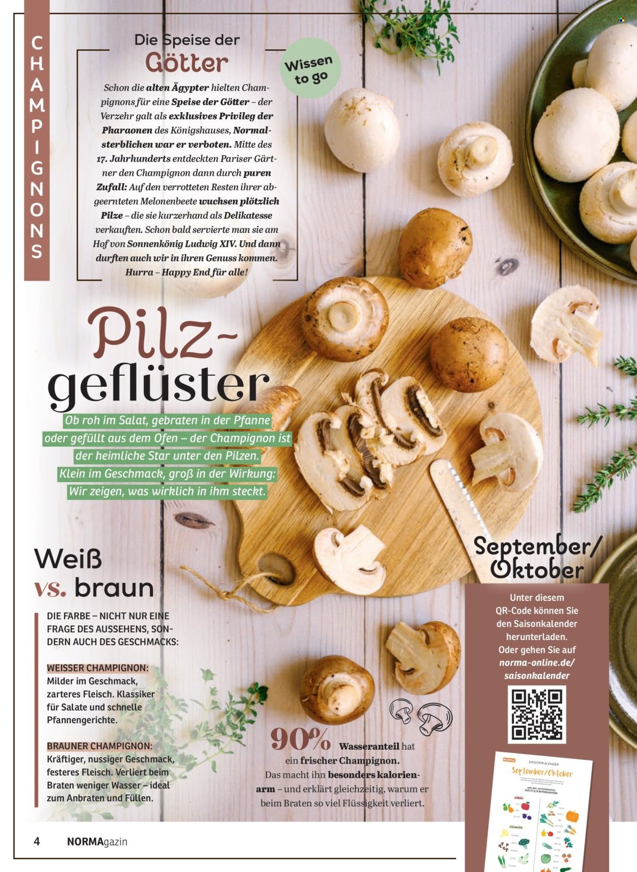 NORMA Prospekt - NORMAgazin