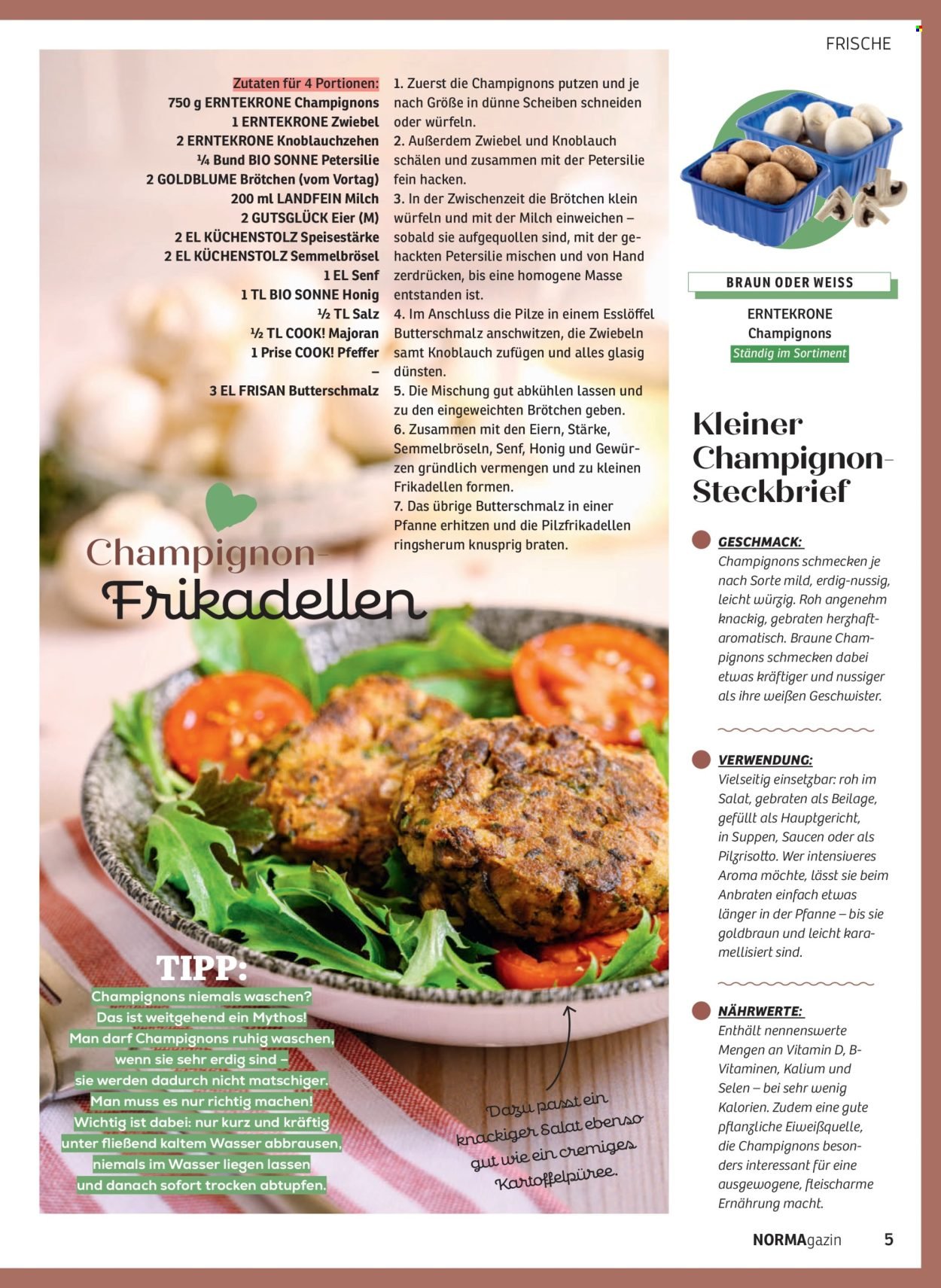 NORMA Prospekt - NORMAgazin