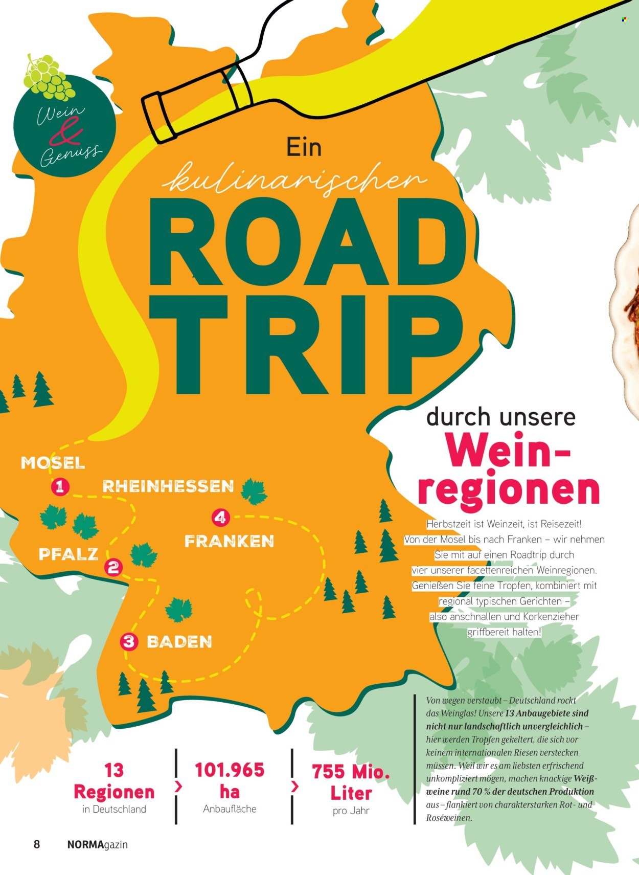 NORMA Prospekt - NORMAgazin