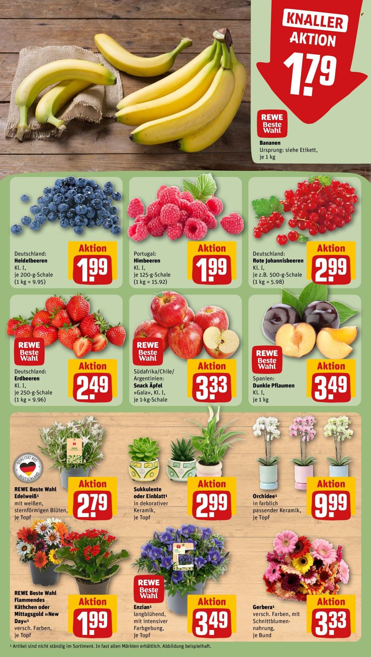 REWE Prospekt - Ab Montag 20.07.2026