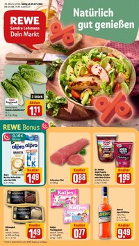 REWE Prospekt - Ab Montag 20.07.2026
