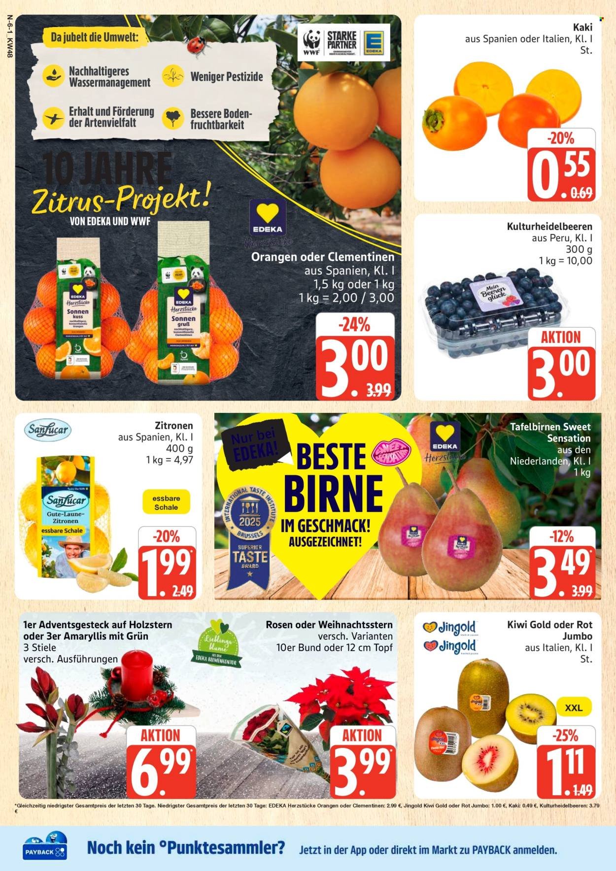 MARKTKAUF Prospekt - Ab Montag 24.11.2025