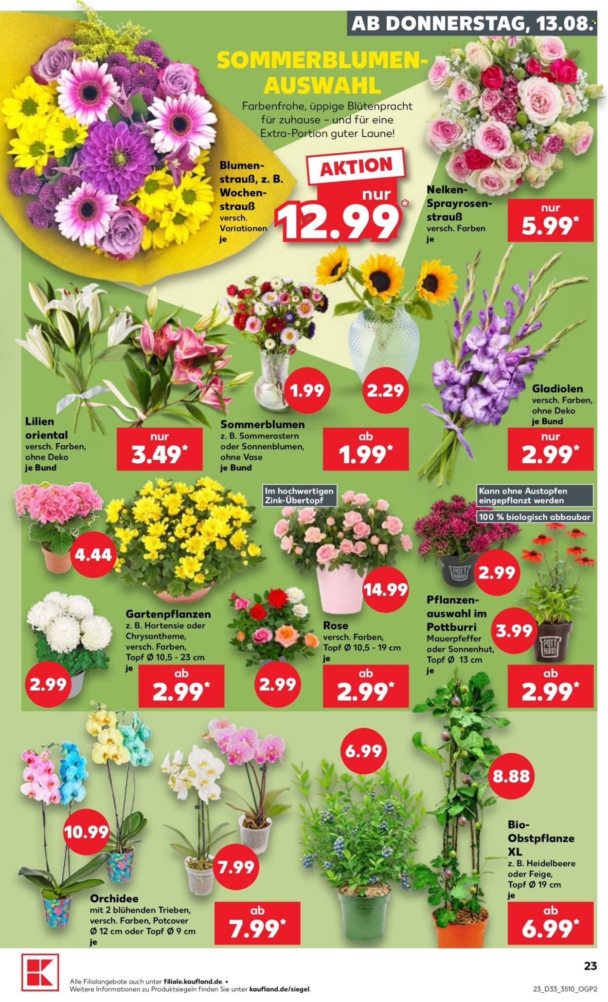 KAUFLAND Prospekt - Ab Donnerstag 13.08.2026