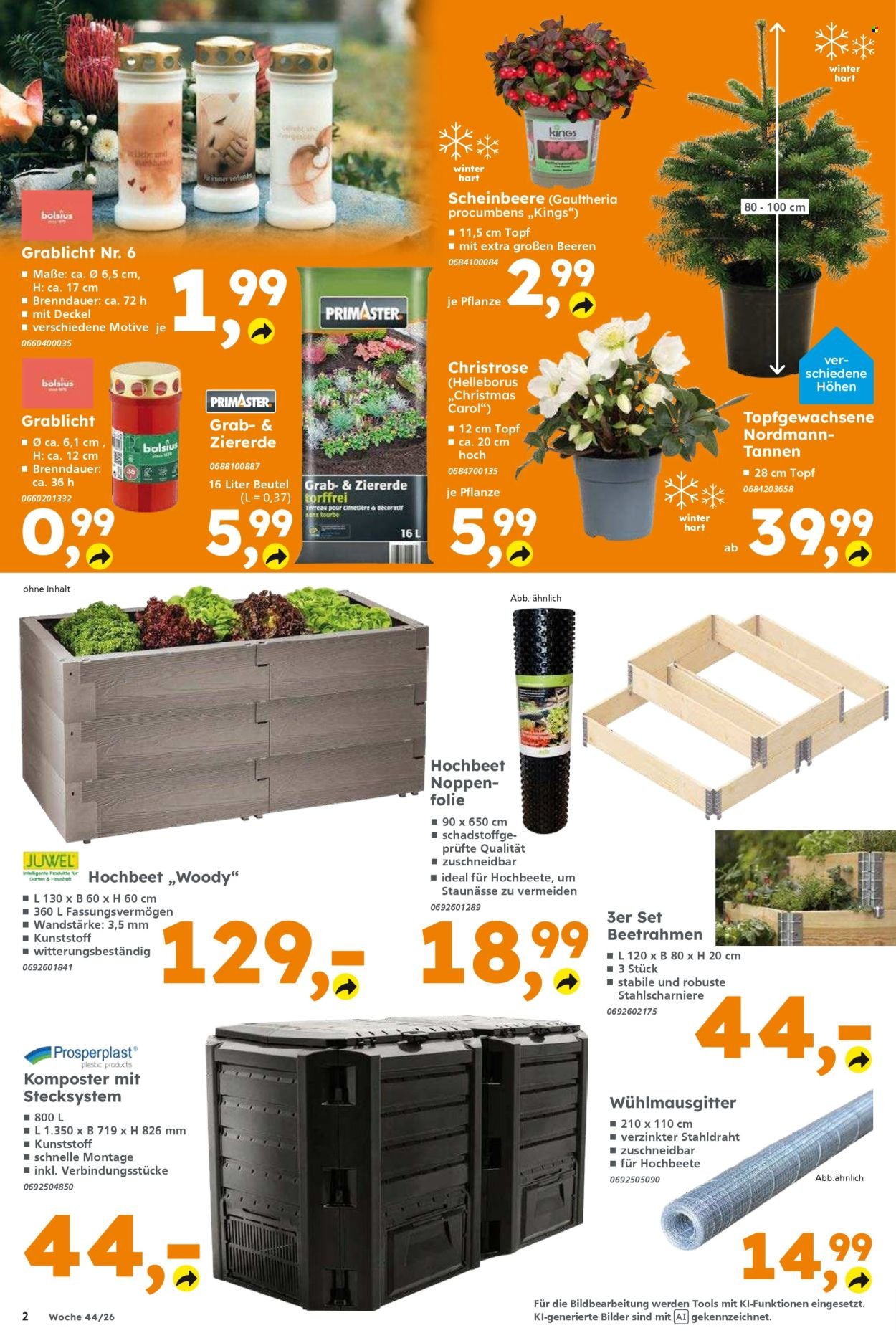 GLOBUS BAUMARKT Prospekt - Ab Montag 26.10.2026