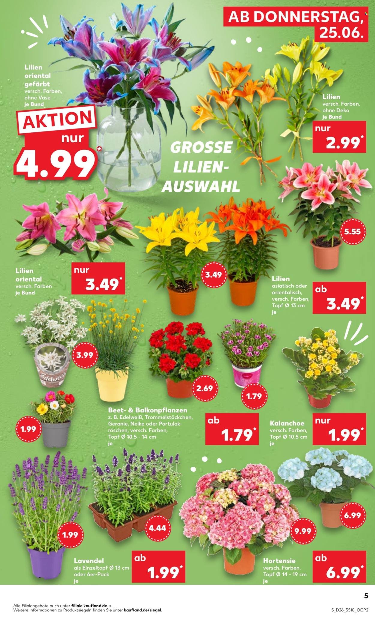 KAUFLAND Prospekt - Ab Donnerstag 25.06.2026