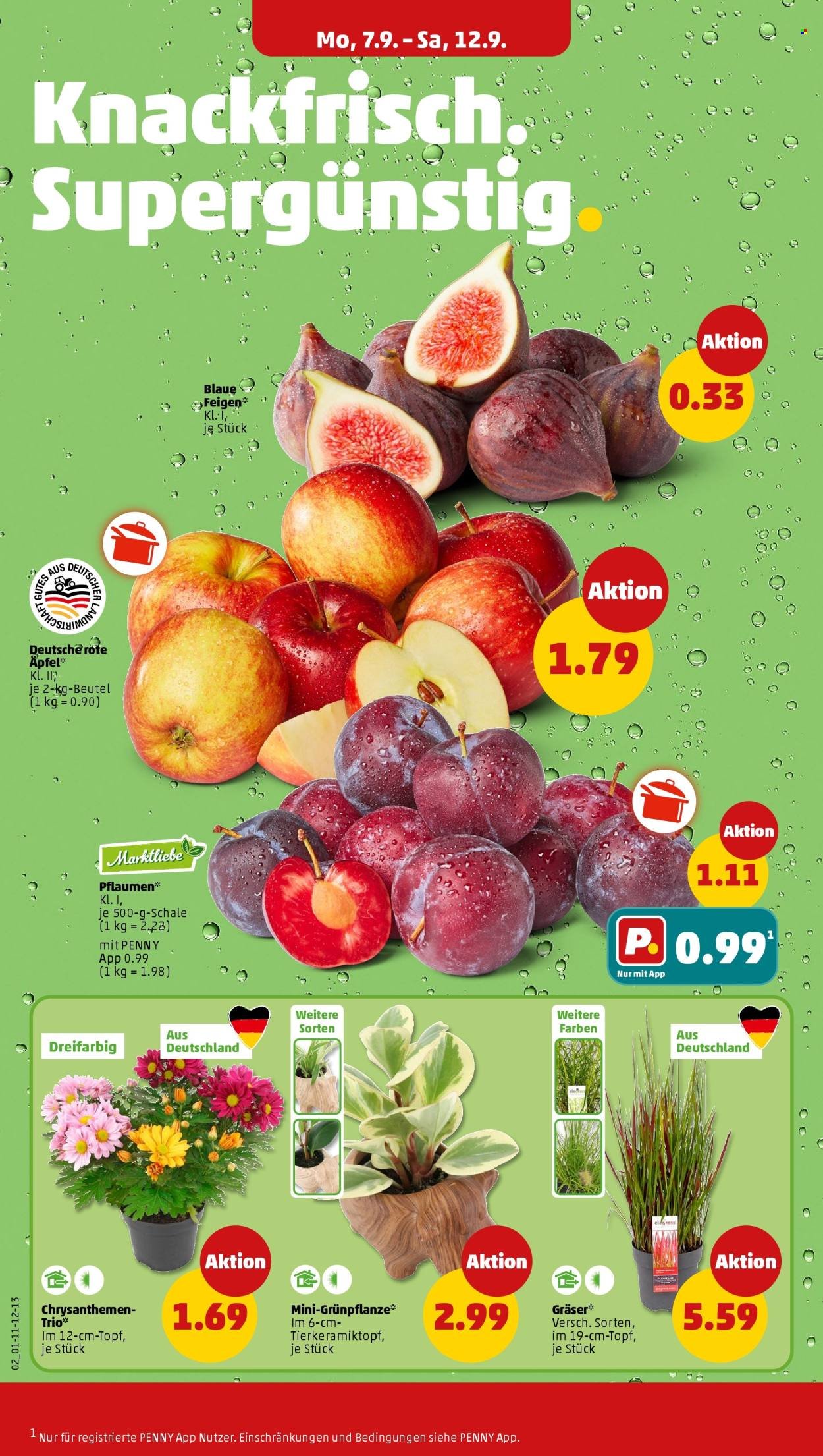 PENNY Prospekt - Ab Montag 7.09.2026