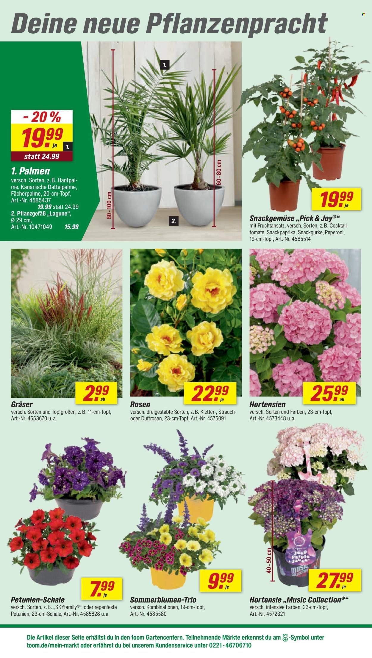 TOOM BAUMARKT Prospekt - Ab Samstag 30.05.2026