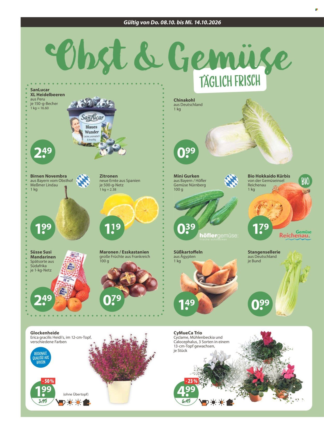 V-MARKT Prospekt - Ab Donnerstag 8.10.2026