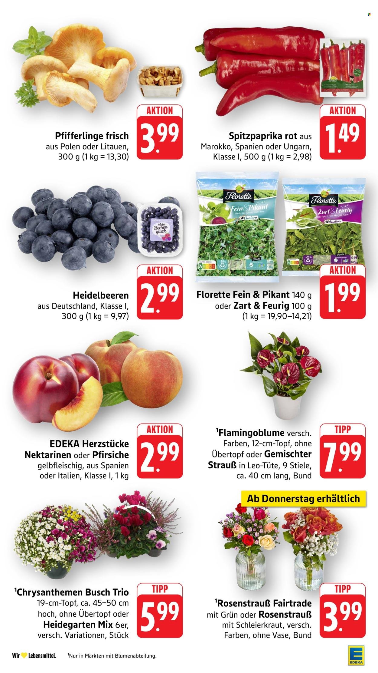 EDEKA Prospekt - Ab Montag 24.08.2026