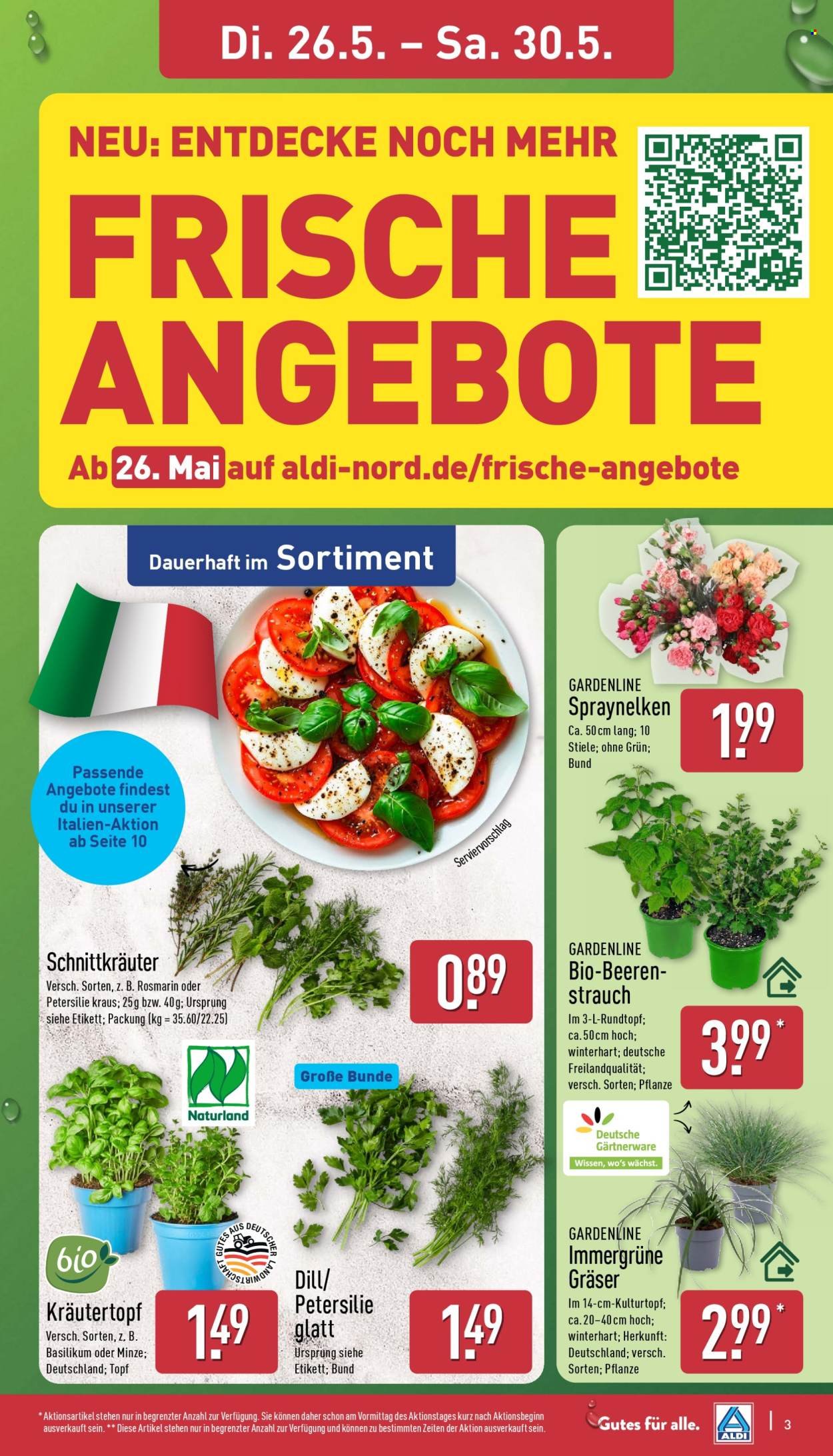 ALDI NORD Prospekt - Italienische Woche (2026-05-26 - 2026-05-30)