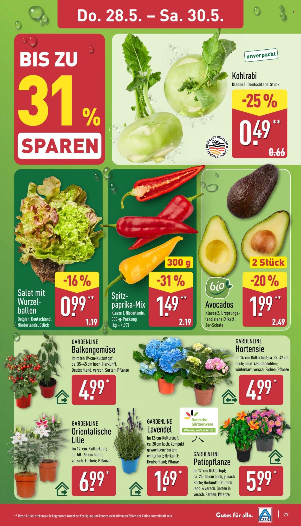 ALDI NORD Prospekt - Italienische Woche (2026-05-26 - 2026-05-30)