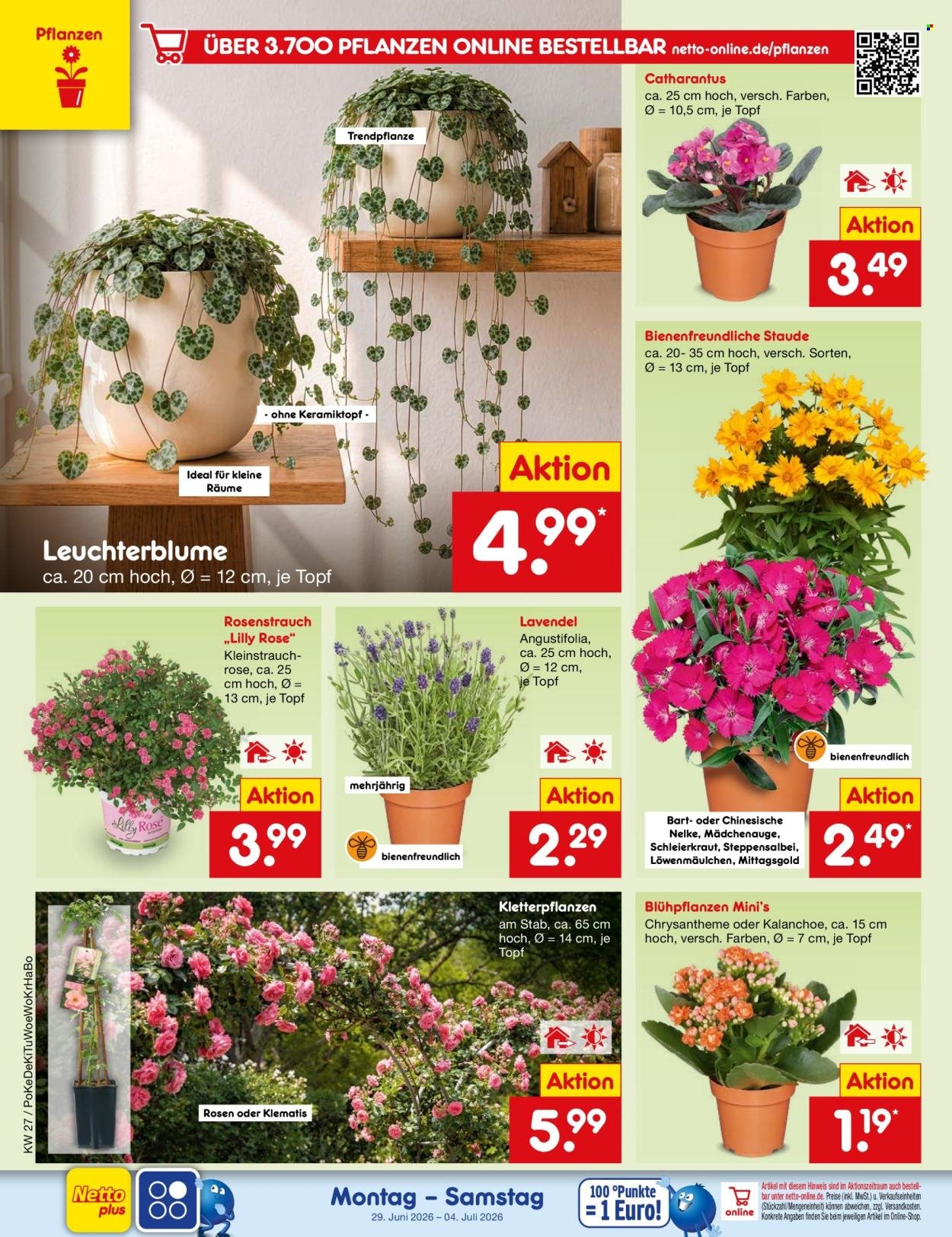 NETTO MARKEN-DISCOUNT Prospekt - Ab Montag 29.06.2026