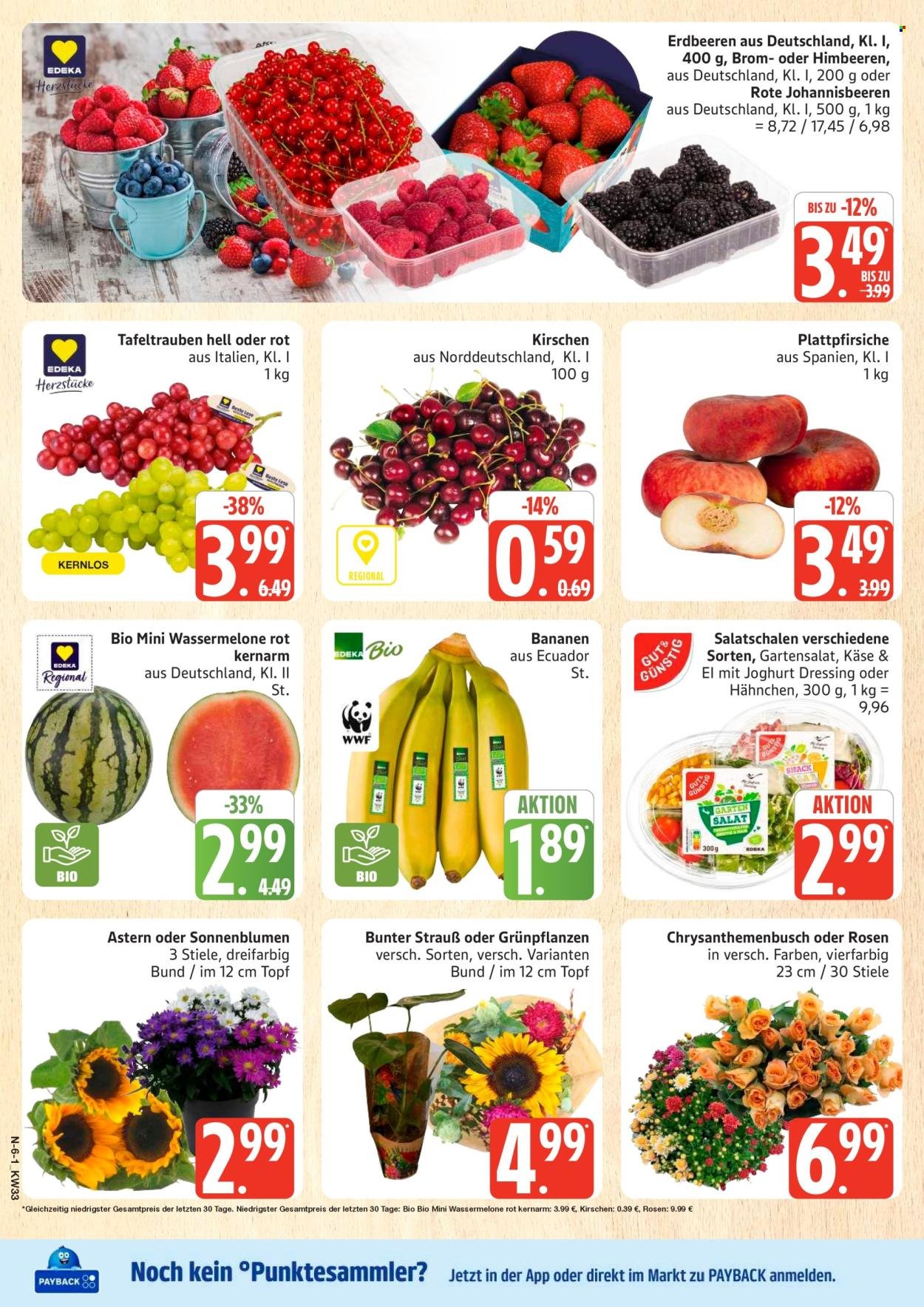 MARKTKAUF Prospekt - Ab Montag 10.08.2026