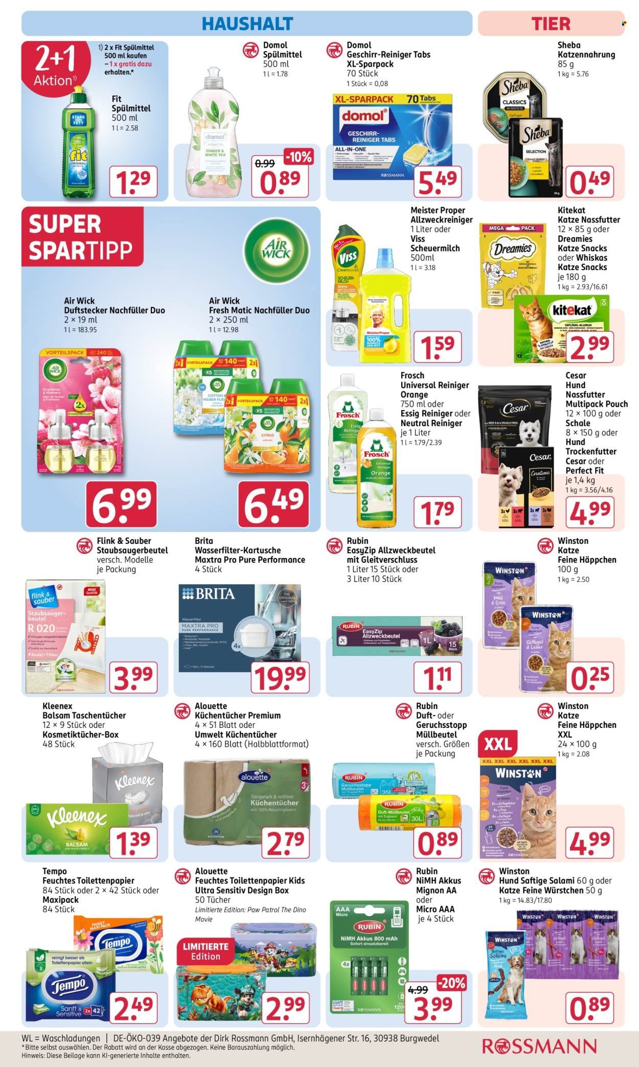 ROSSMANN Prospekt - Angebotsprospekt