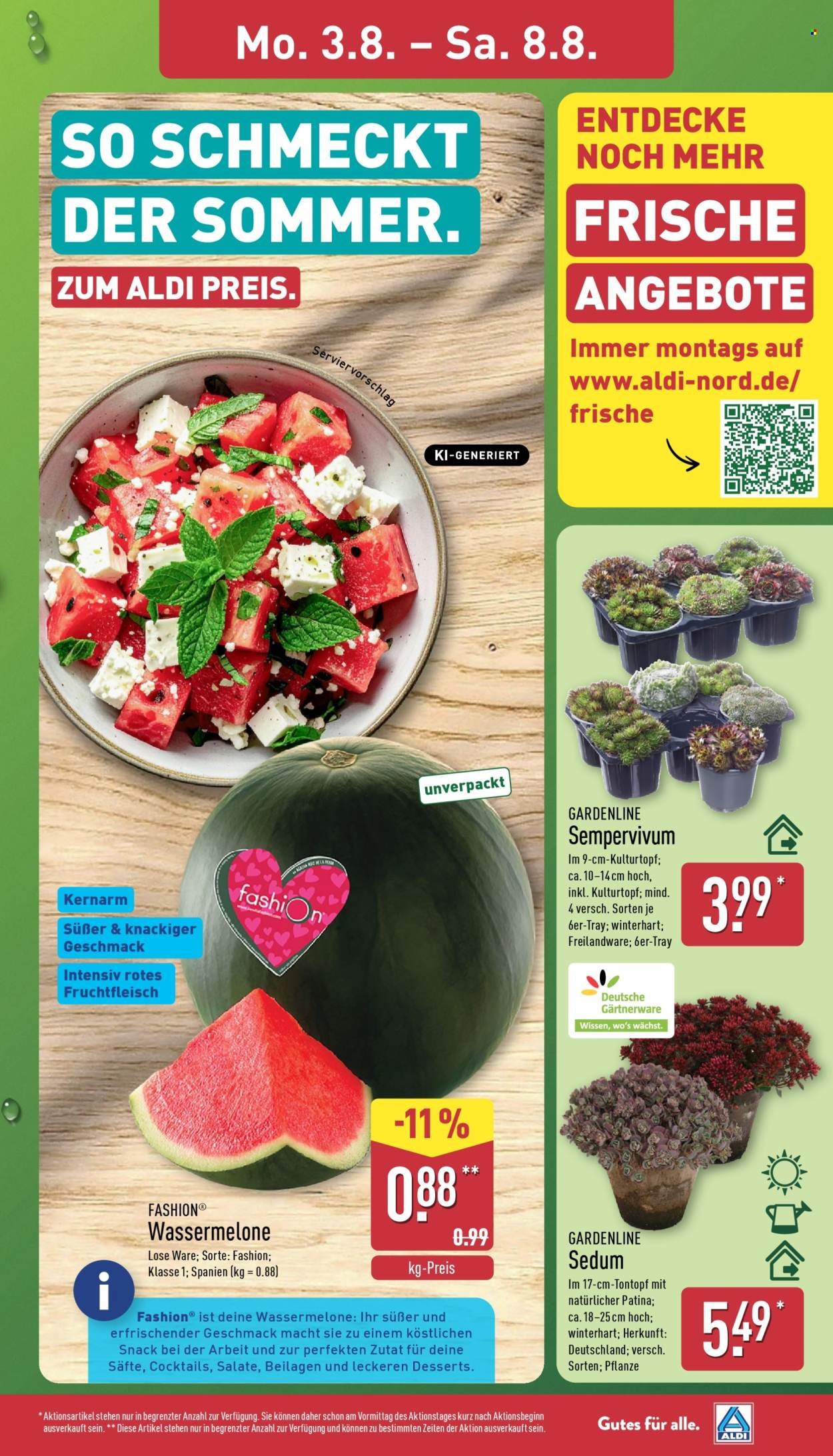ALDI NORD Prospekt - Ab Montag 3.08.2026