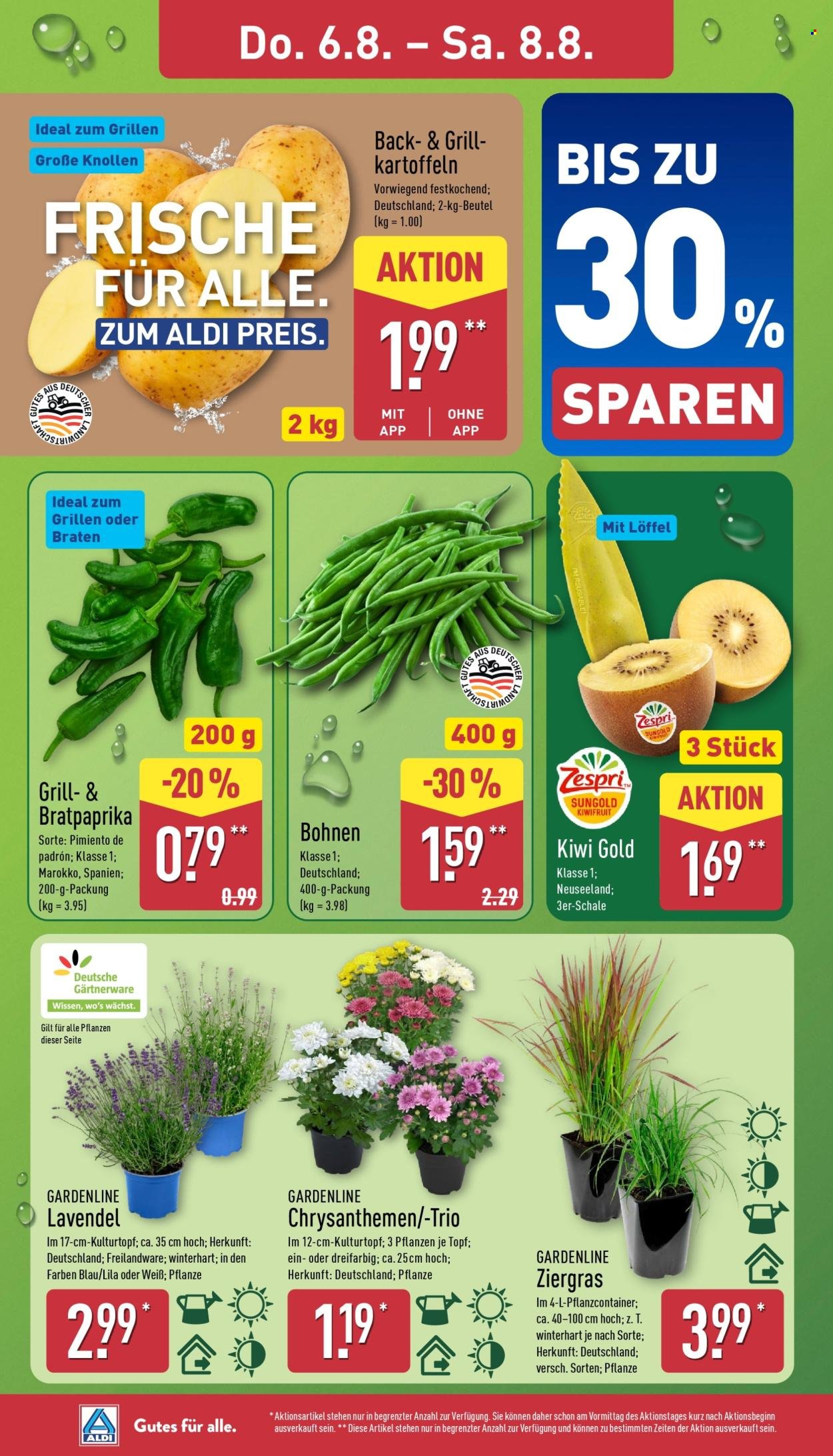 ALDI NORD Prospekt - Ab Montag 3.08.2026