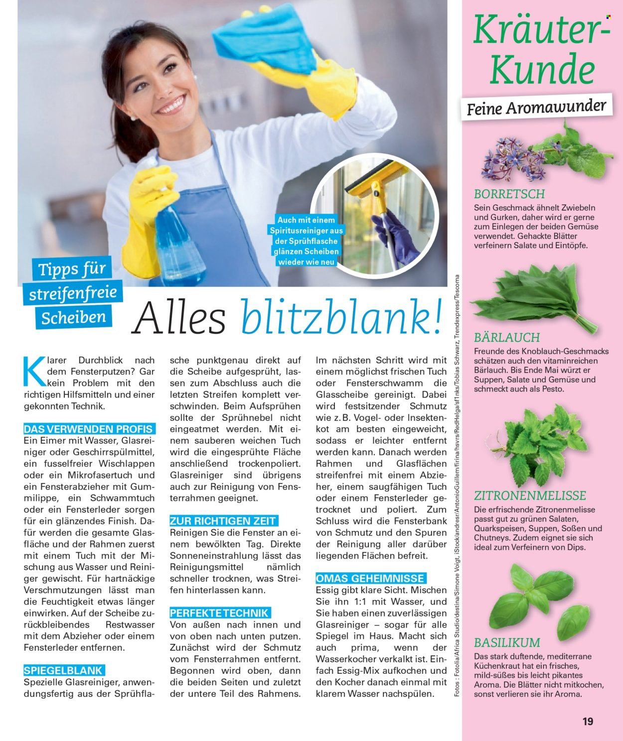 POCO Prospekt - Wohnwelt Frühling 2026