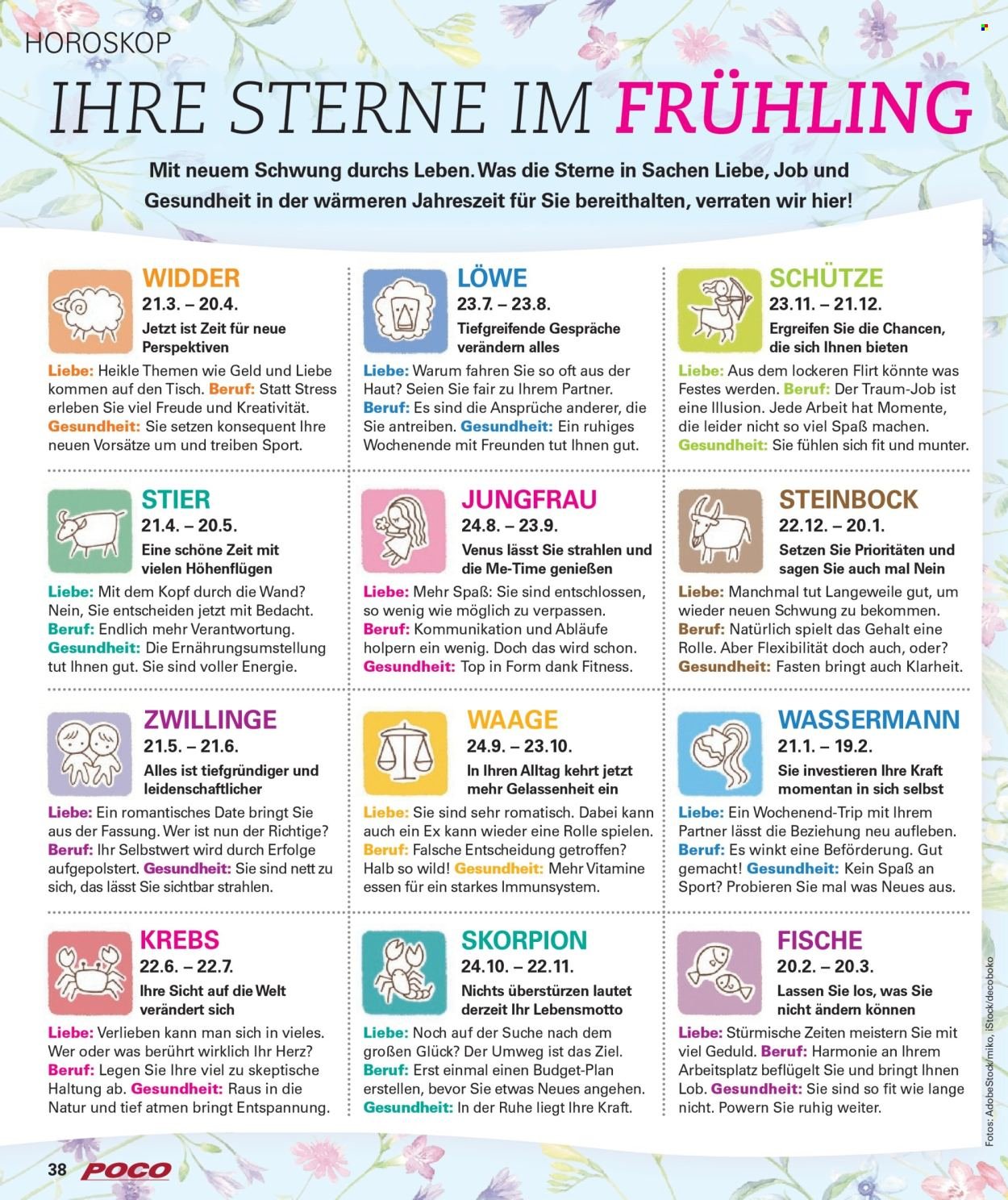 POCO Prospekt - Wohnwelt Frühling 2026
