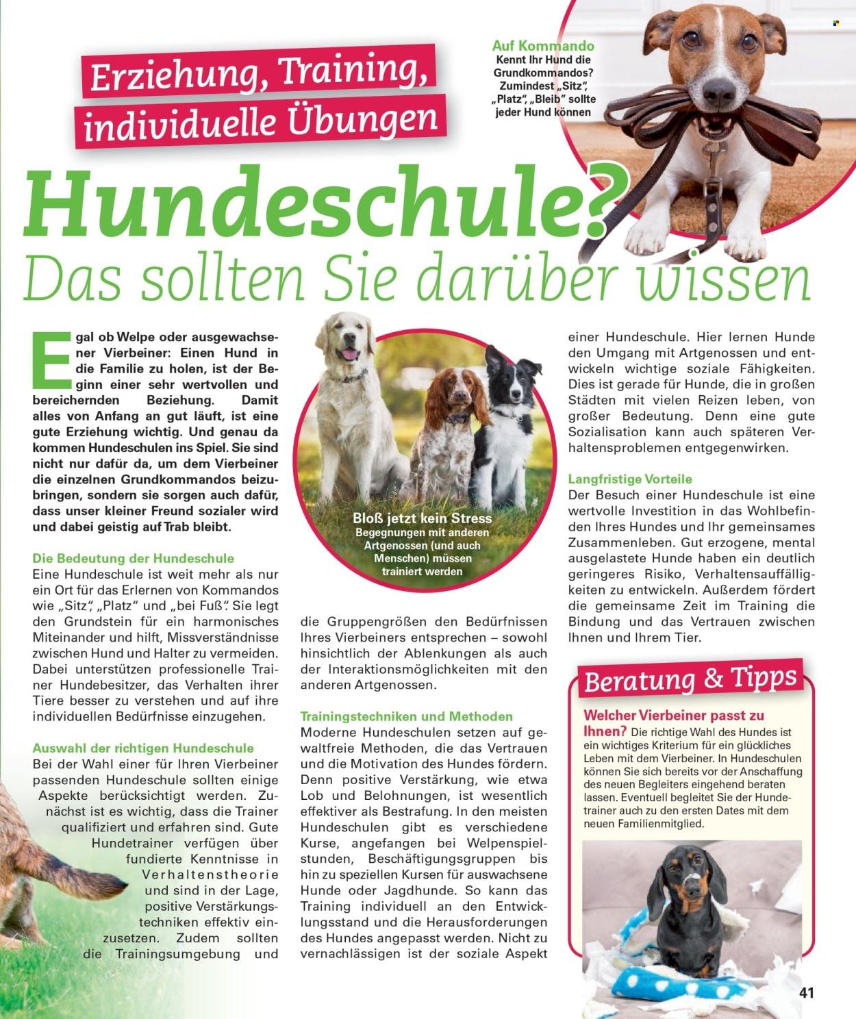 POCO Prospekt - Wohnwelt Frühling 2026