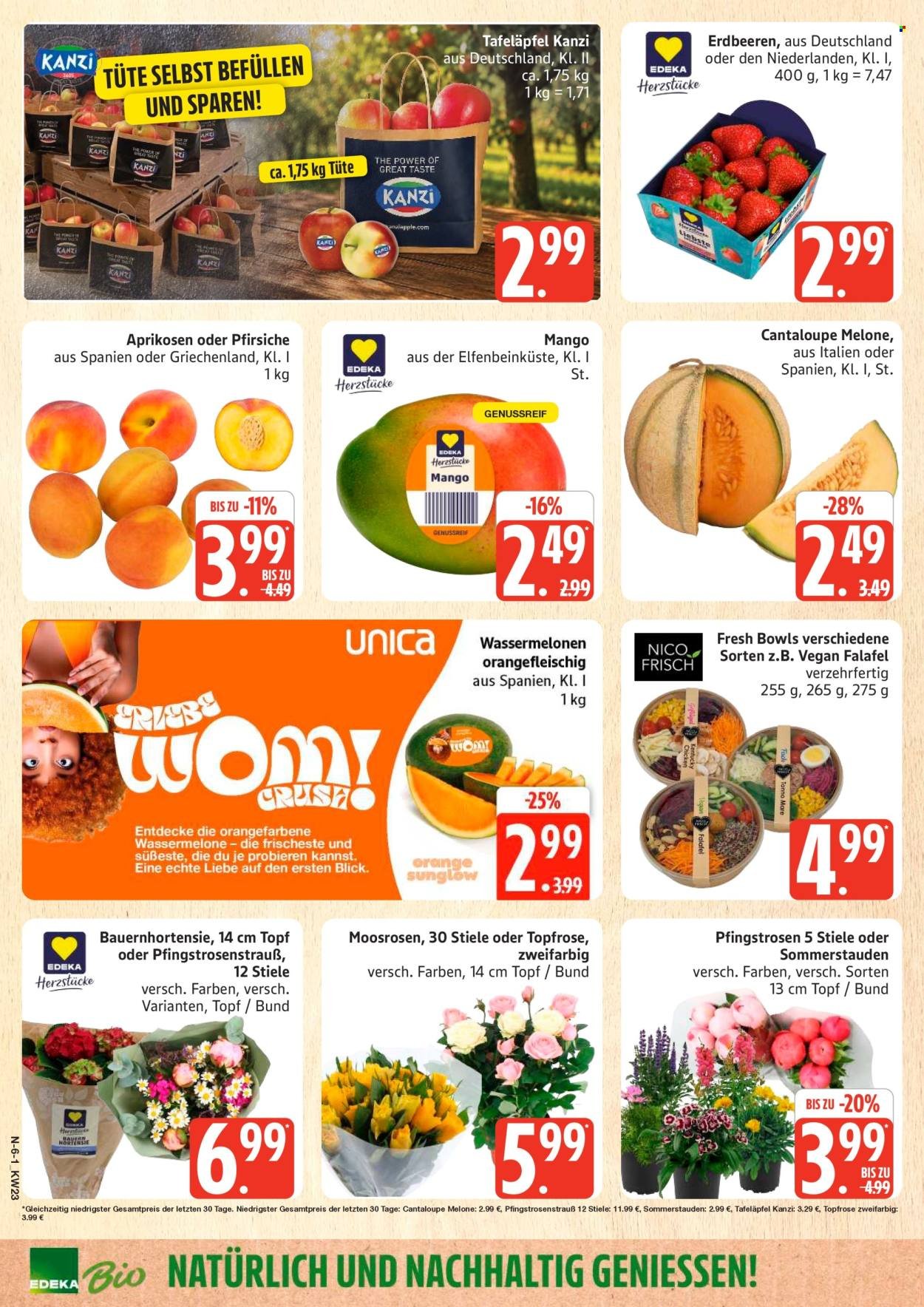 MARKTKAUF Prospekt - Ab Montag 1.06.2026