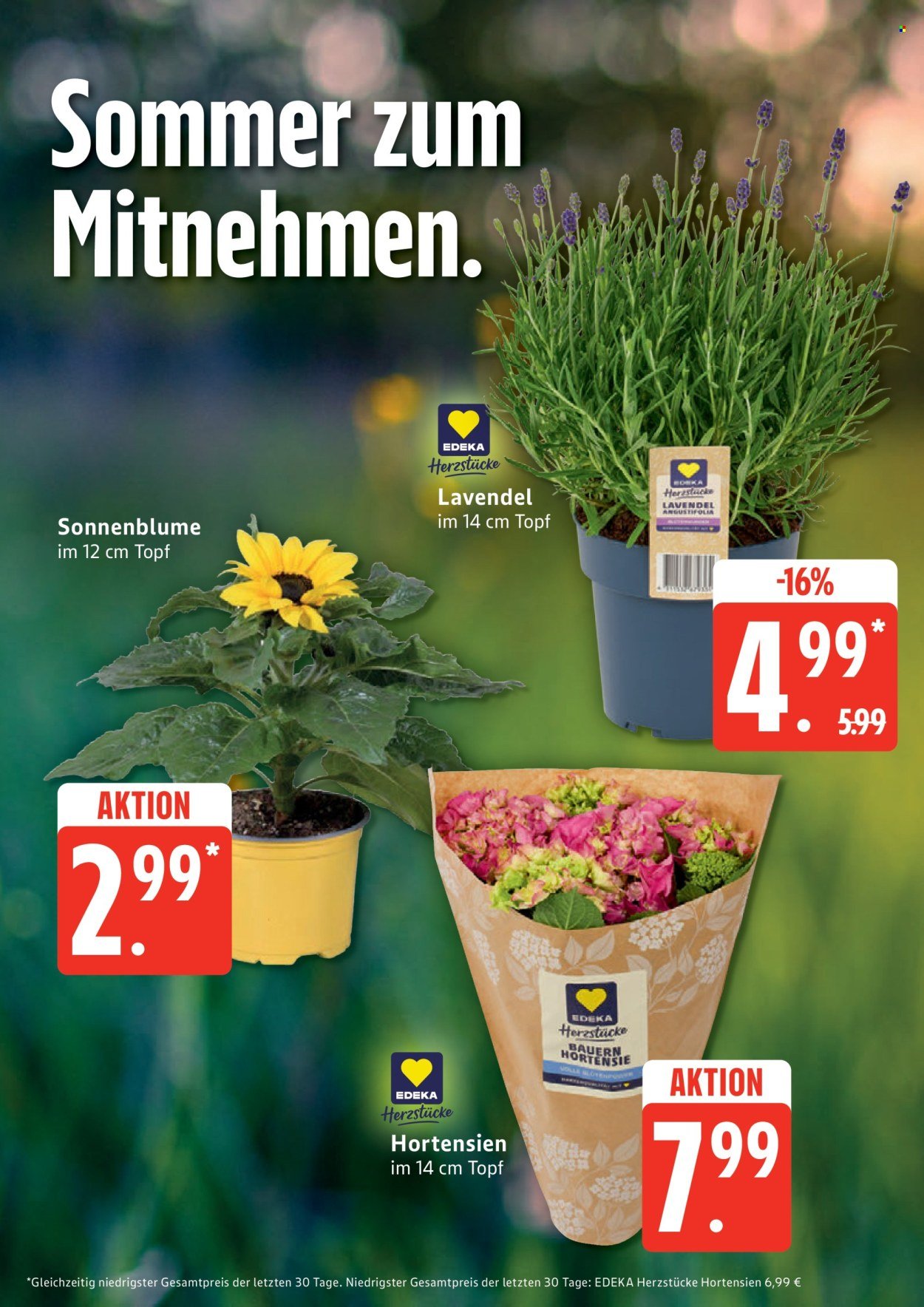 EDEKA Prospekt - Ab Montag 8.06.2026