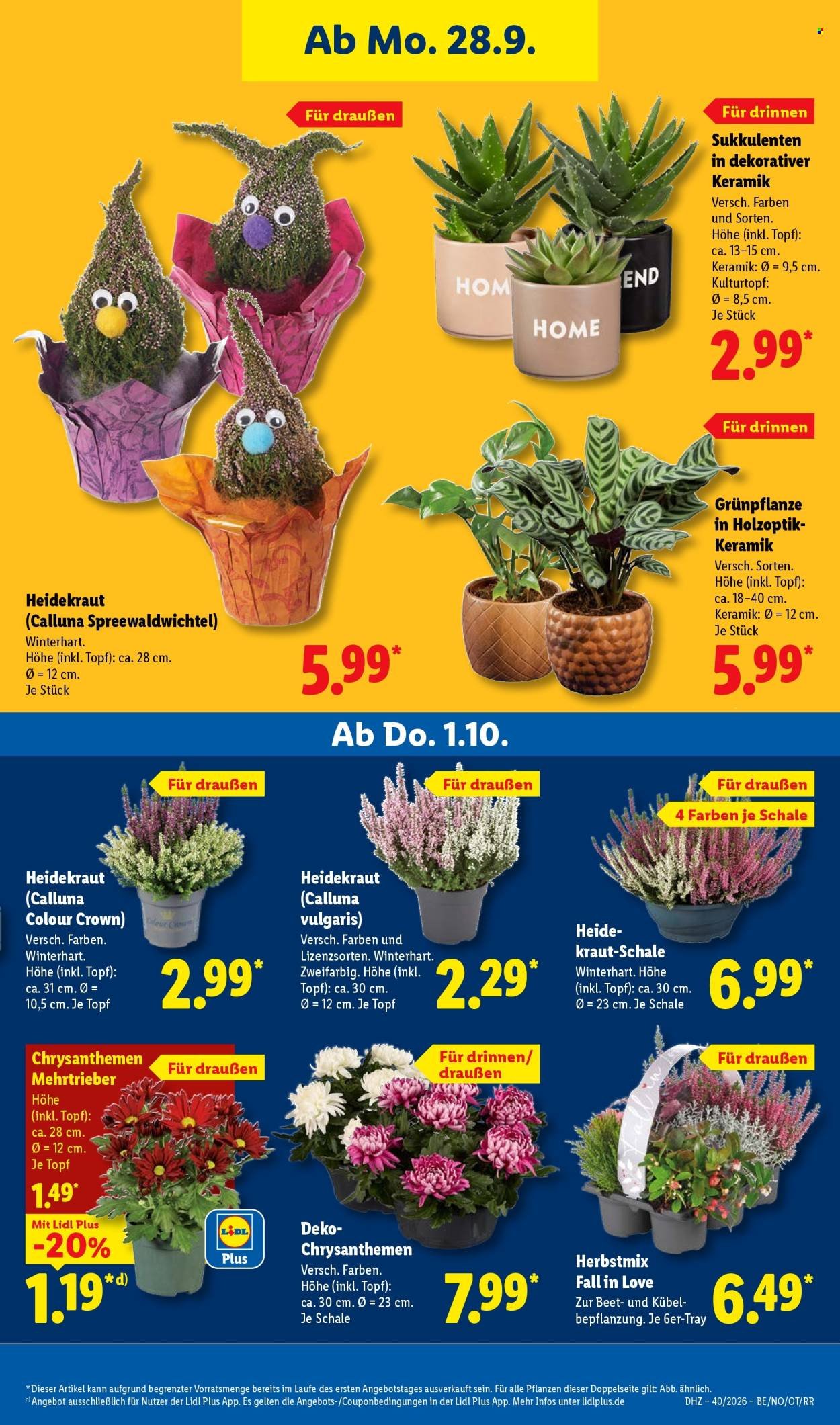 LIDL Prospekt - Ab Montag 28.09.2026