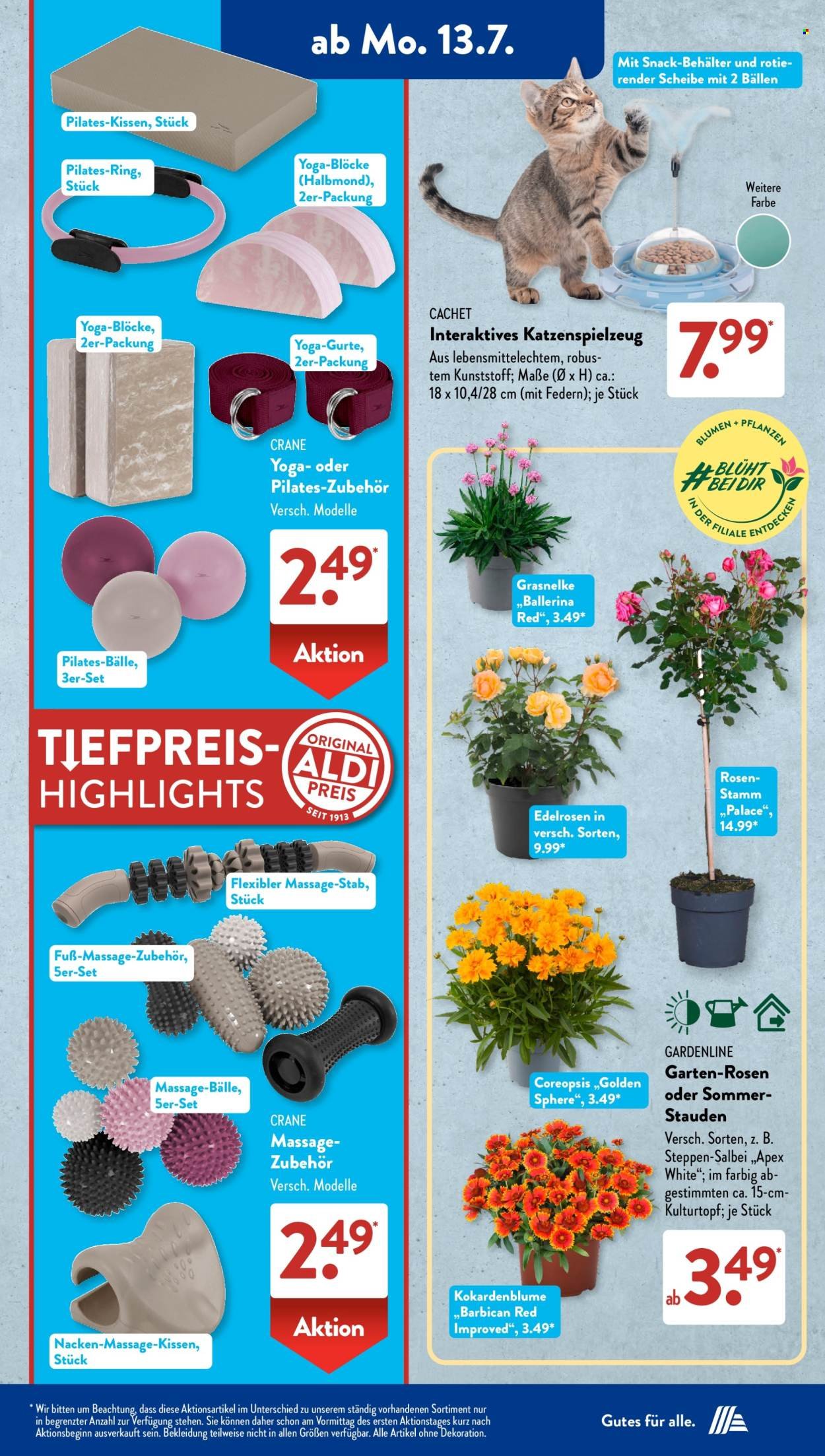 ALDI SÜD Prospekt - Ab Montag 13.07.2026