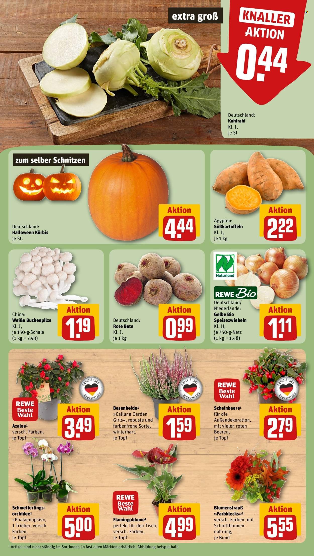 REWE Prospekt - Ab Montag 12.10.2026