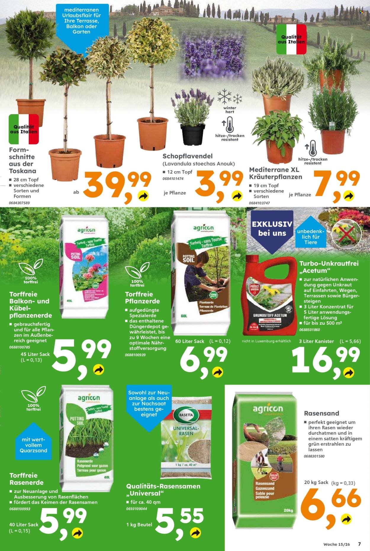 GLOBUS BAUMARKT Prospekt - Ab Montag 6.04.2026