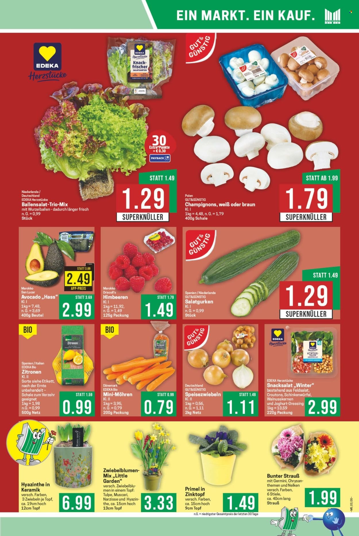 MARKTKAUF Prospekt - Ab Montag 26.01.2026