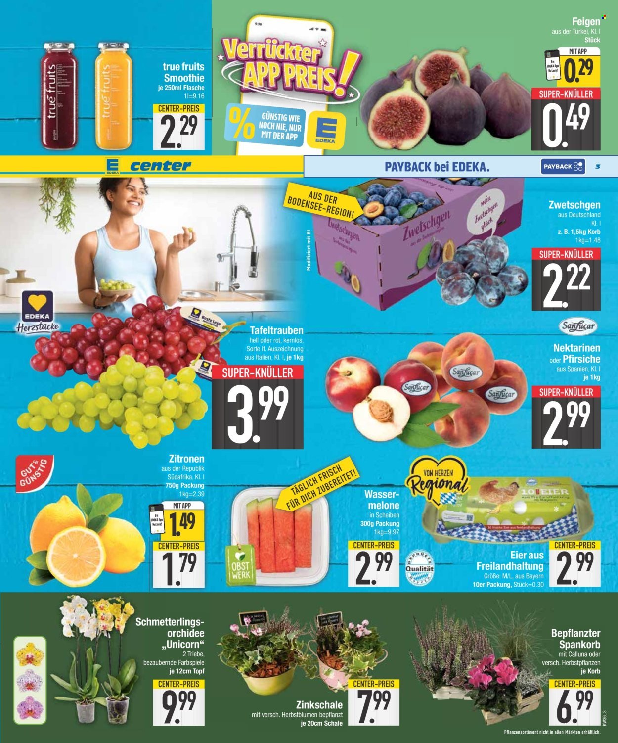 EDEKA Prospekt - Ab Montag 31.08.2026