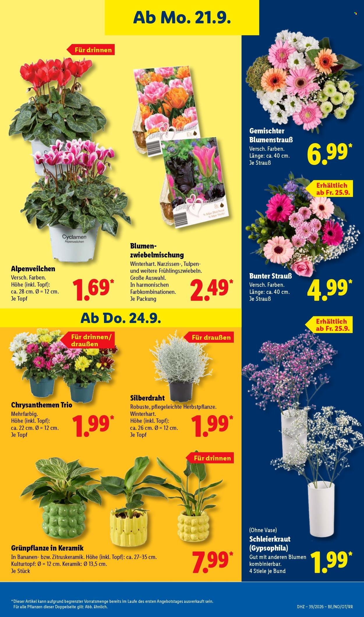 LIDL Prospekt - Ab Montag 21.09.2026