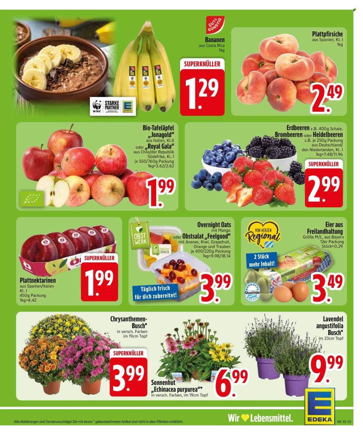 EDEKA Prospekt - Ab Montag 20.07.2026