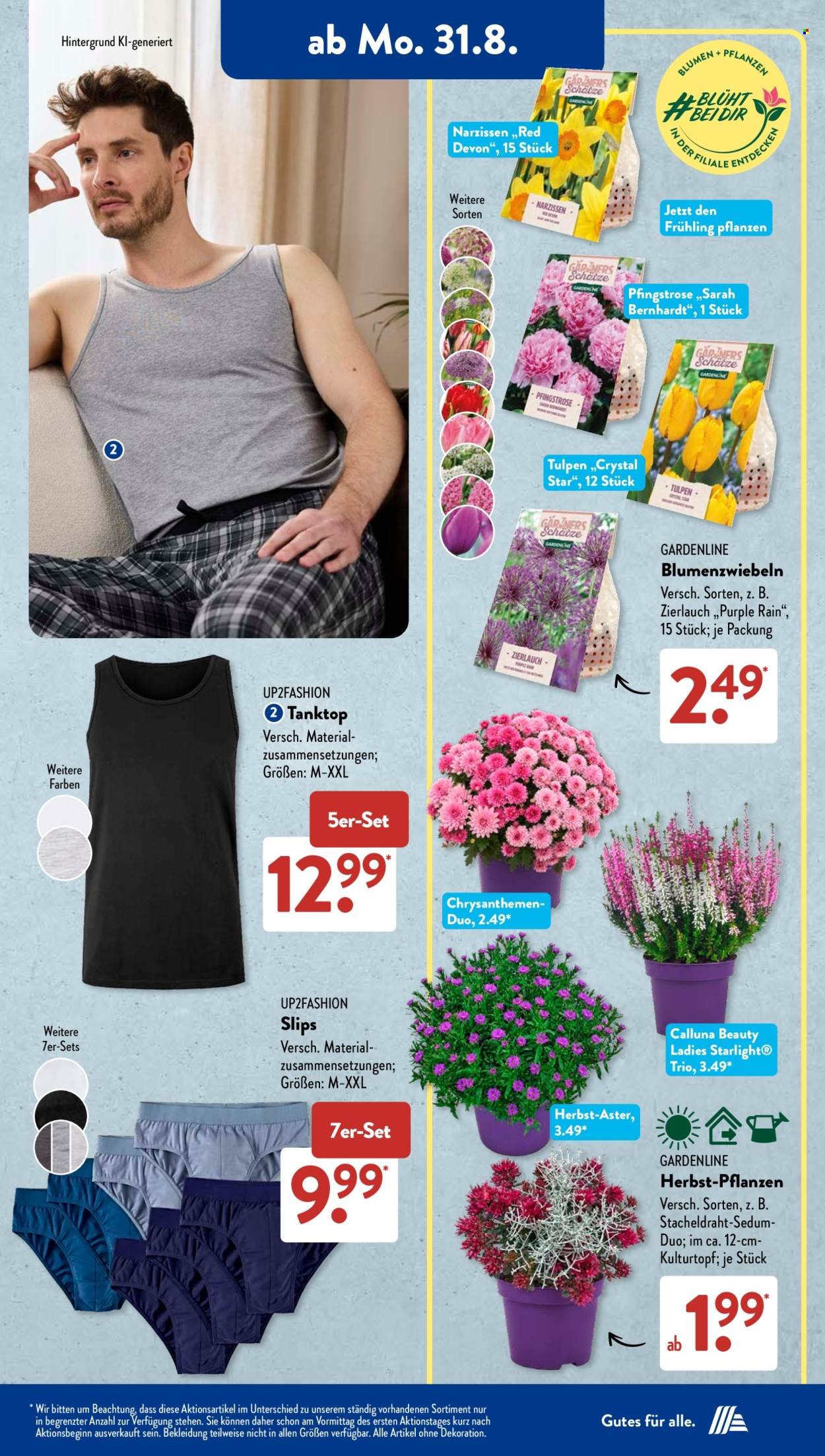 ALDI SÜD Prospekt - Ab Montag 31.08.2026