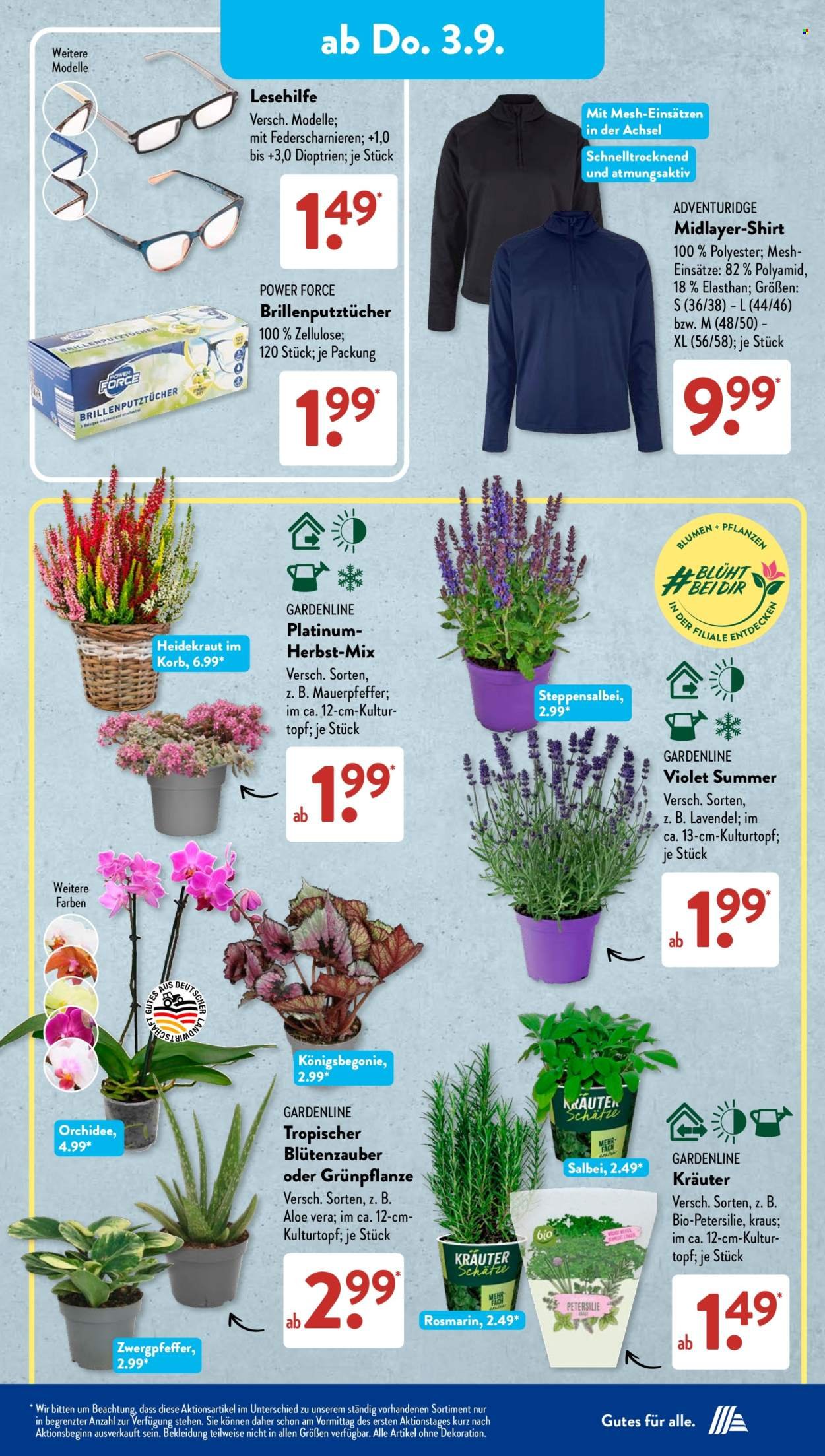ALDI SÜD Prospekt - Ab Montag 31.08.2026