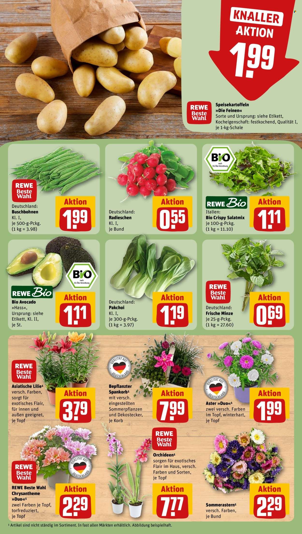 REWE Prospekt - Ab Montag 3.08.2026