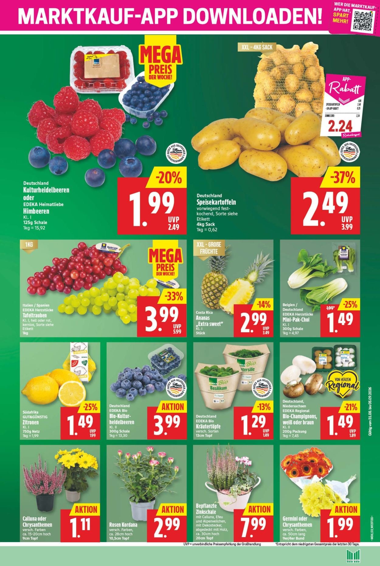 MARKTKAUF Prospekt - Ab Montag 31.08.2026