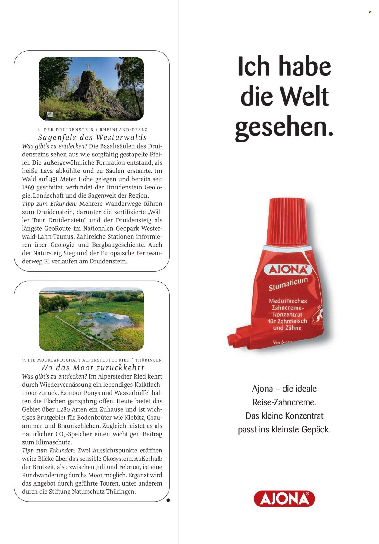 ROSSMANN Prospekt - Centaur