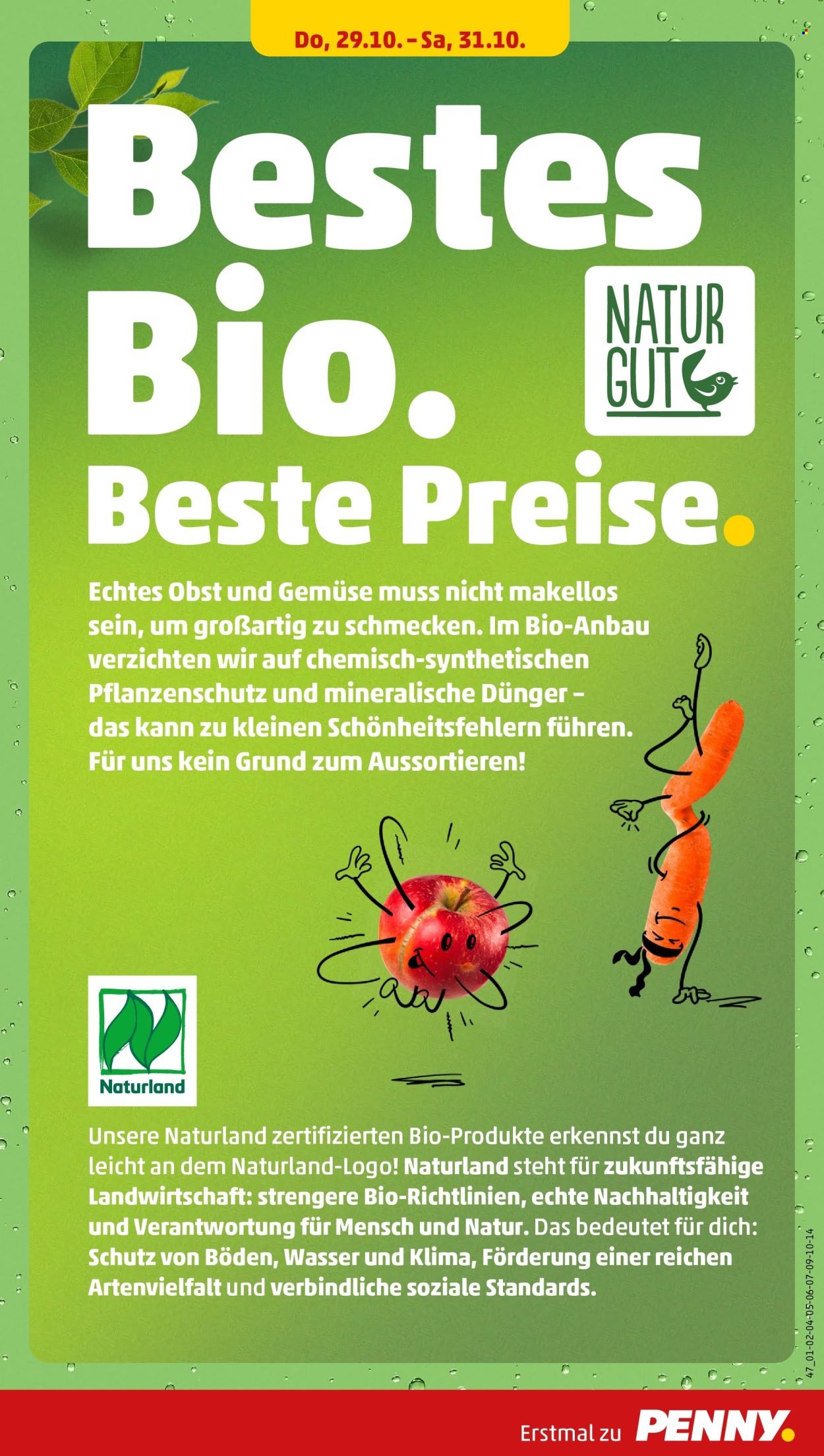 PENNY Prospekt - Ab Montag 26.10.2026