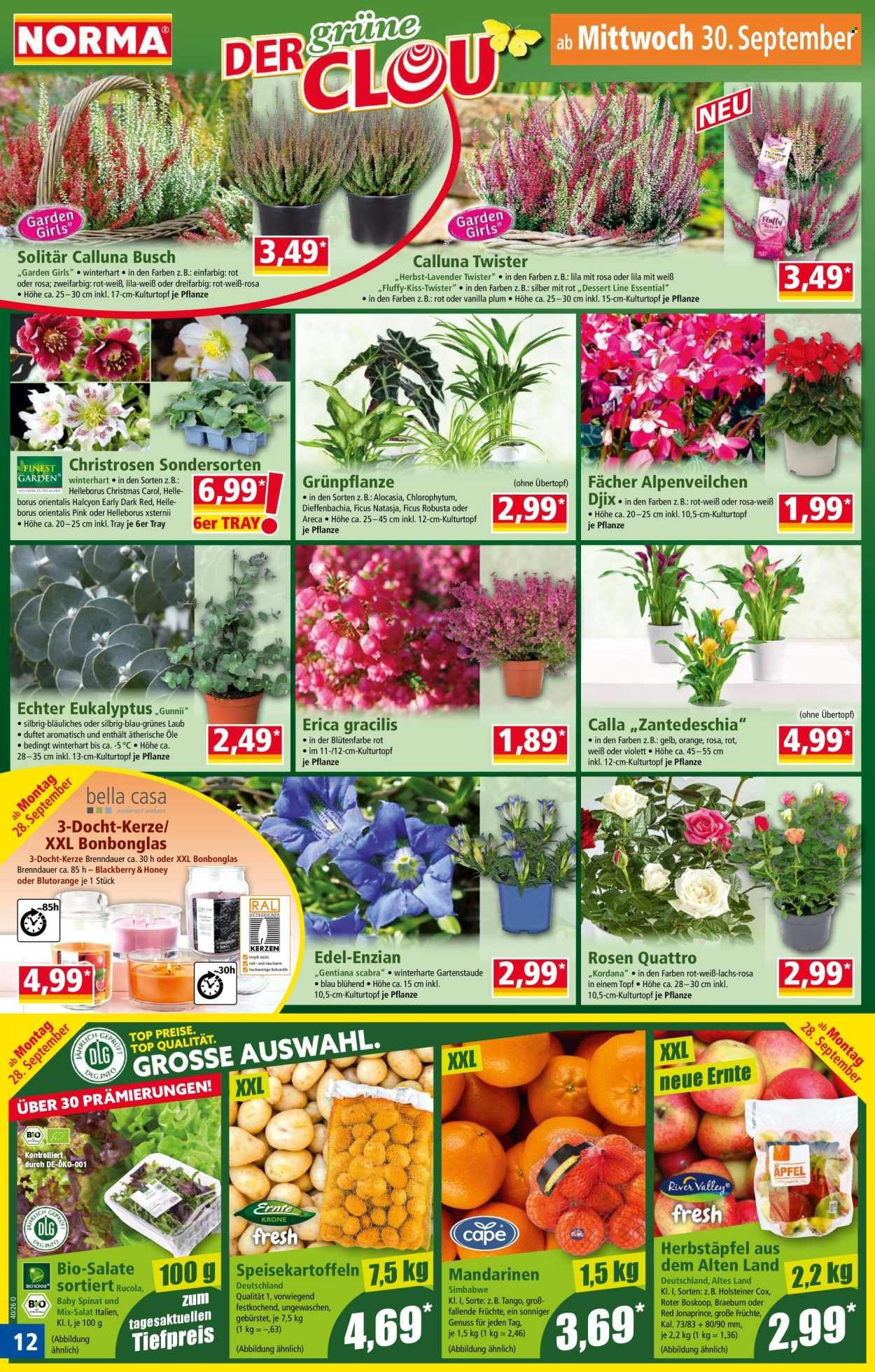 NORMA Prospekt - Ab Montag 28.09.2026