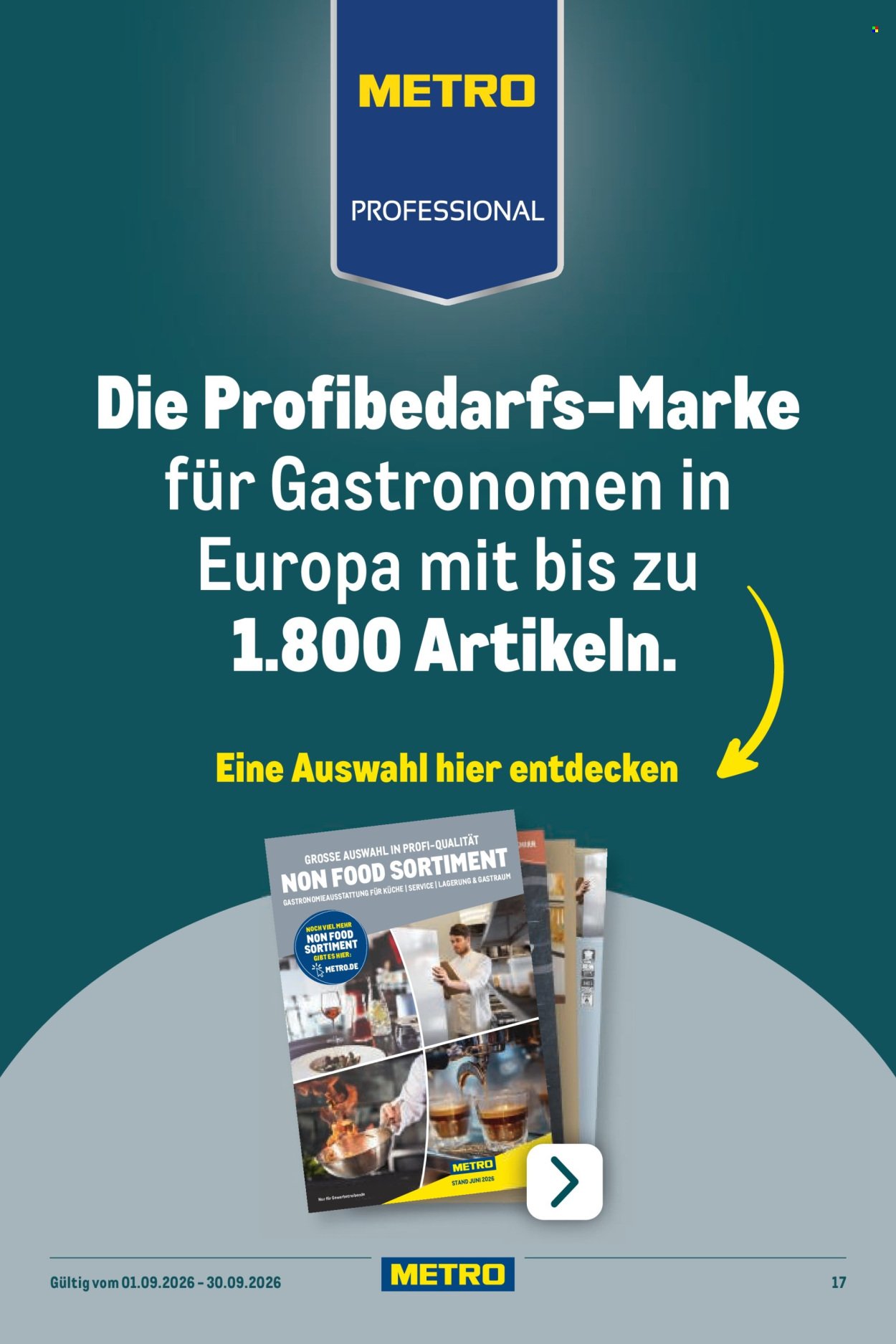 METRO Prospekt - Professional Non-Food Flyer