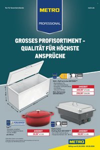 METRO Prospekt - Professional Non-Food Flyer