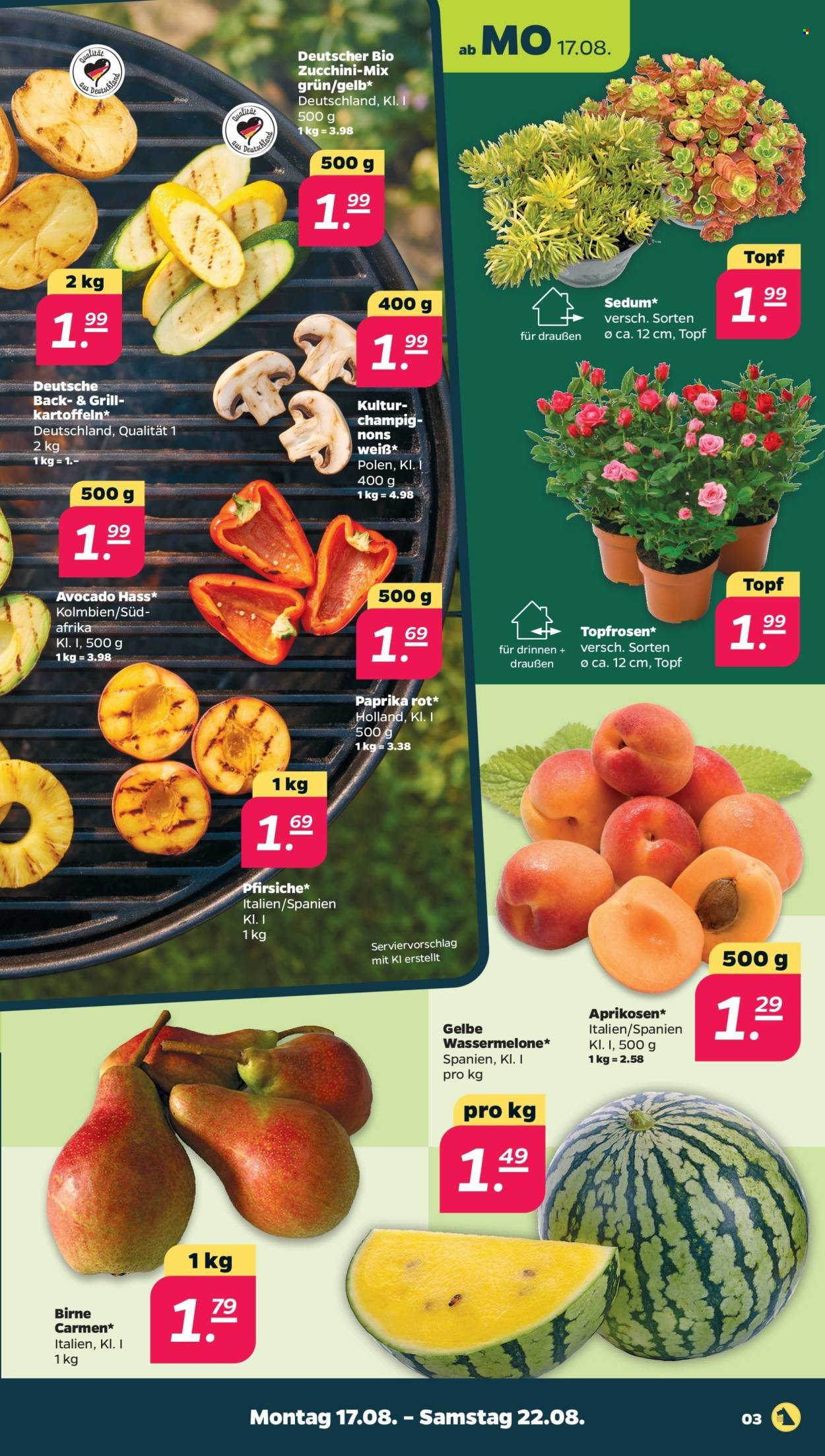 NETTO Prospekt - Woche 34