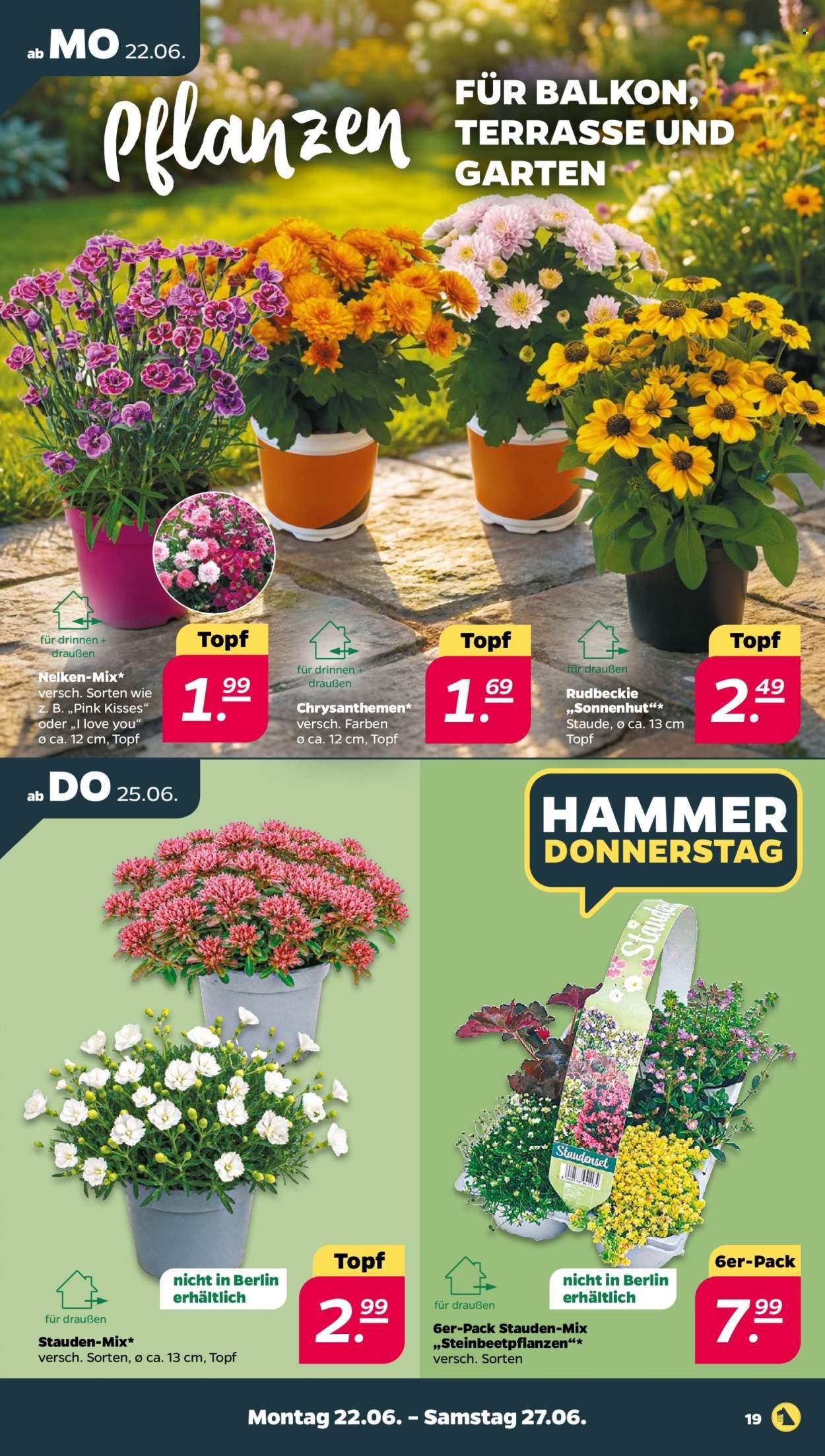 NETTO Prospekt - Woche 26