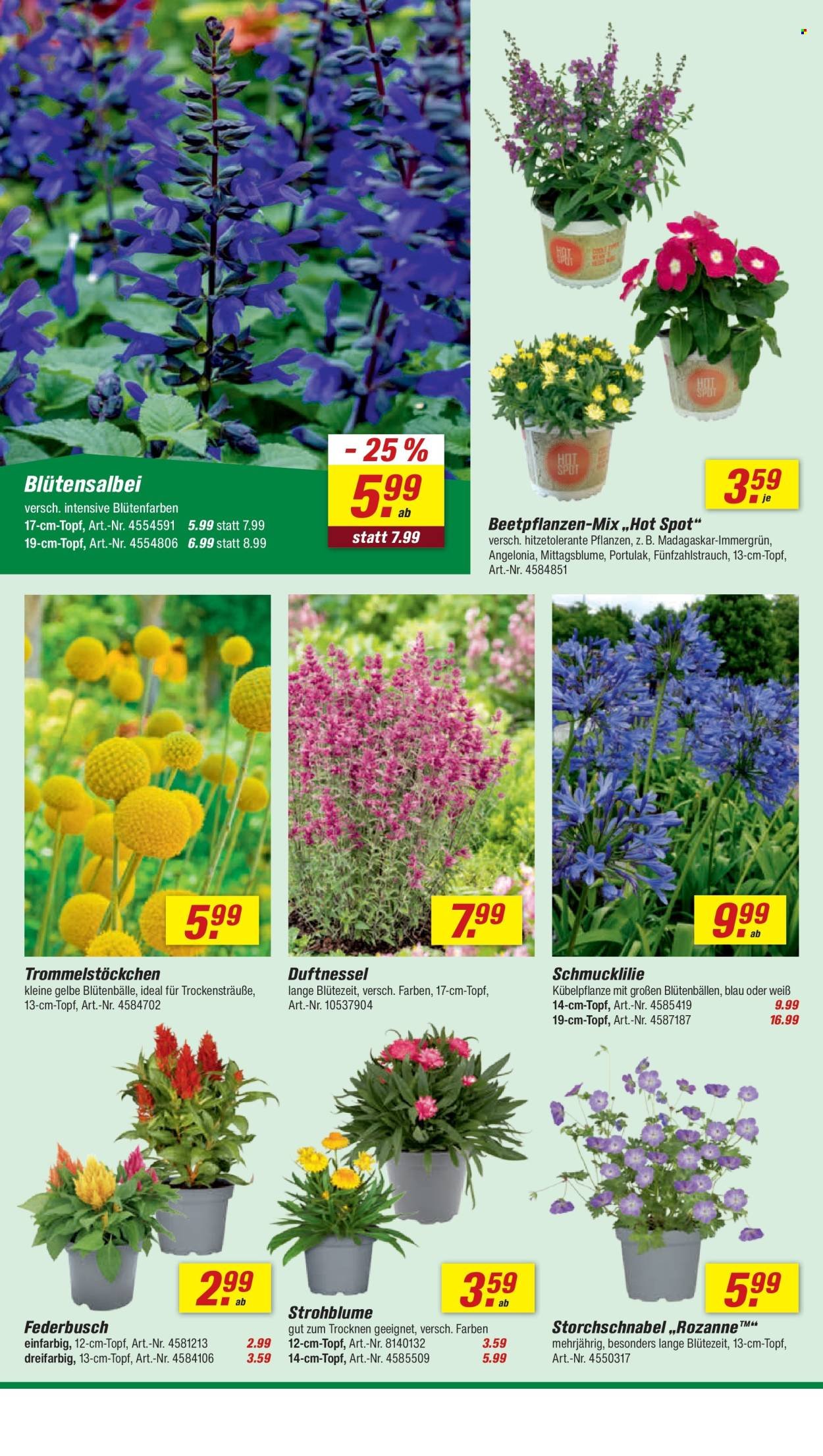 TOOM BAUMARKT Prospekt - Ab Samstag 20.06.2026