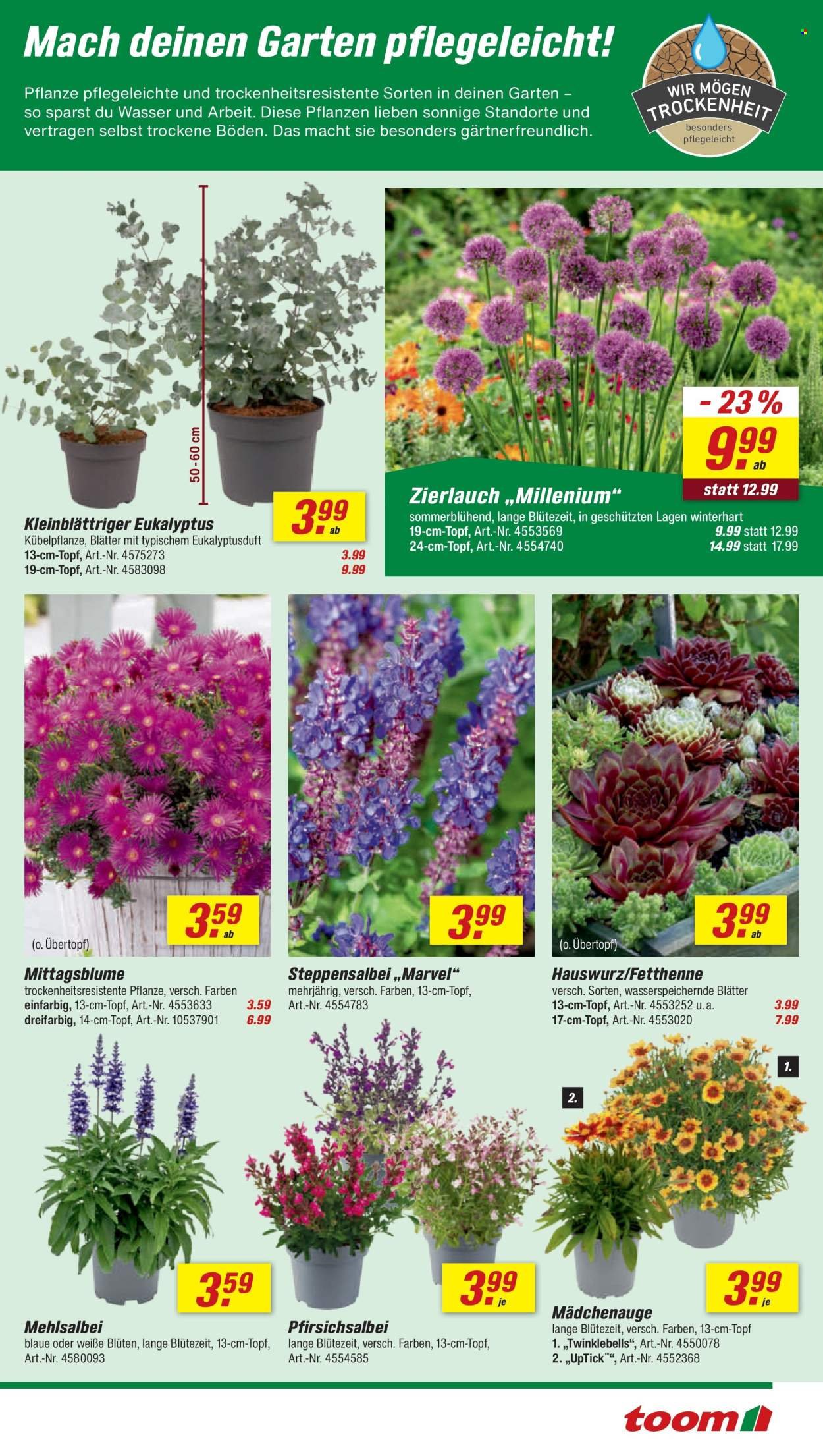 TOOM BAUMARKT Prospekt - Ab Samstag 20.06.2026
