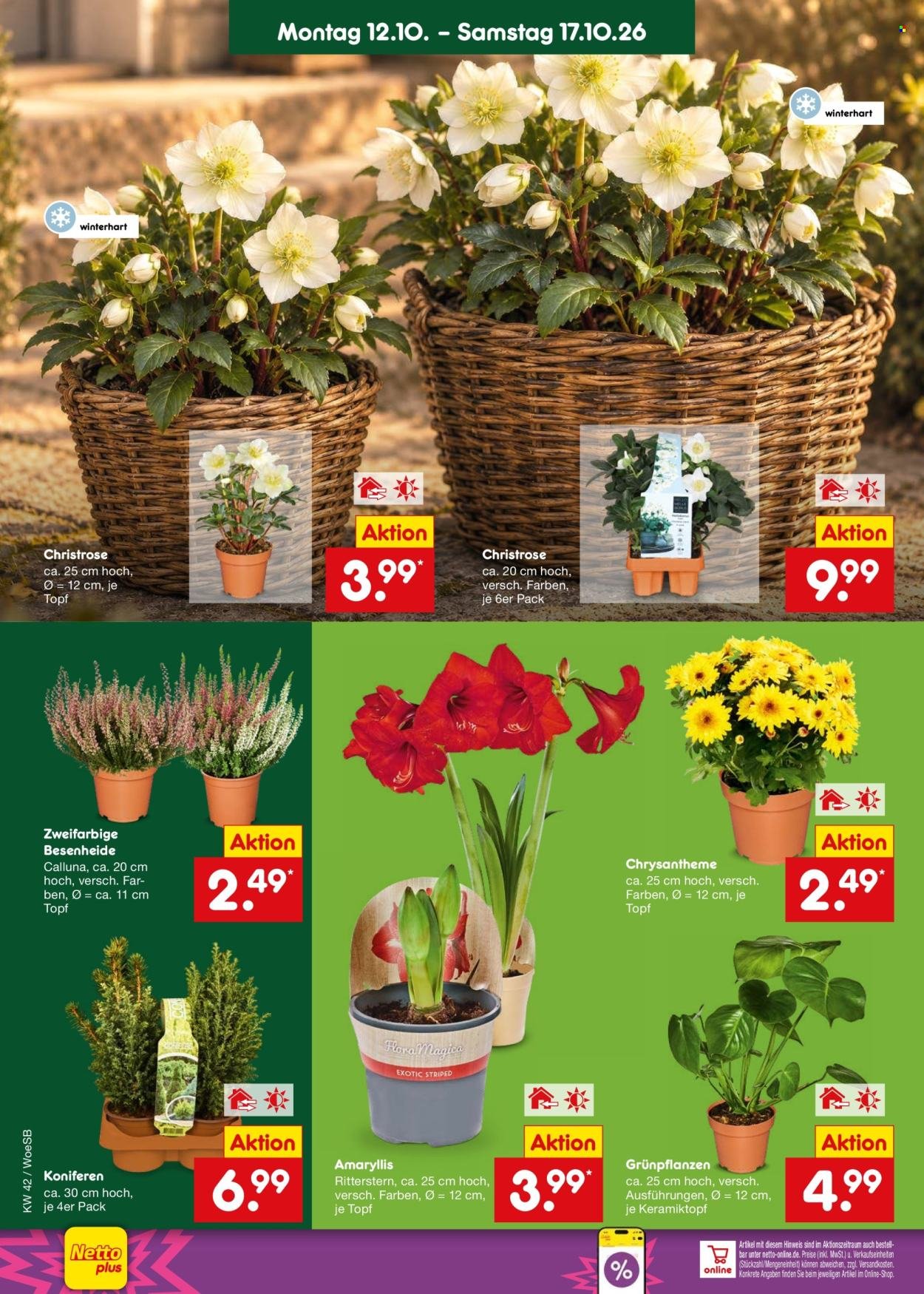 NETTO MARKEN-DISCOUNT Prospekt - Ab Montag 12.10.2026